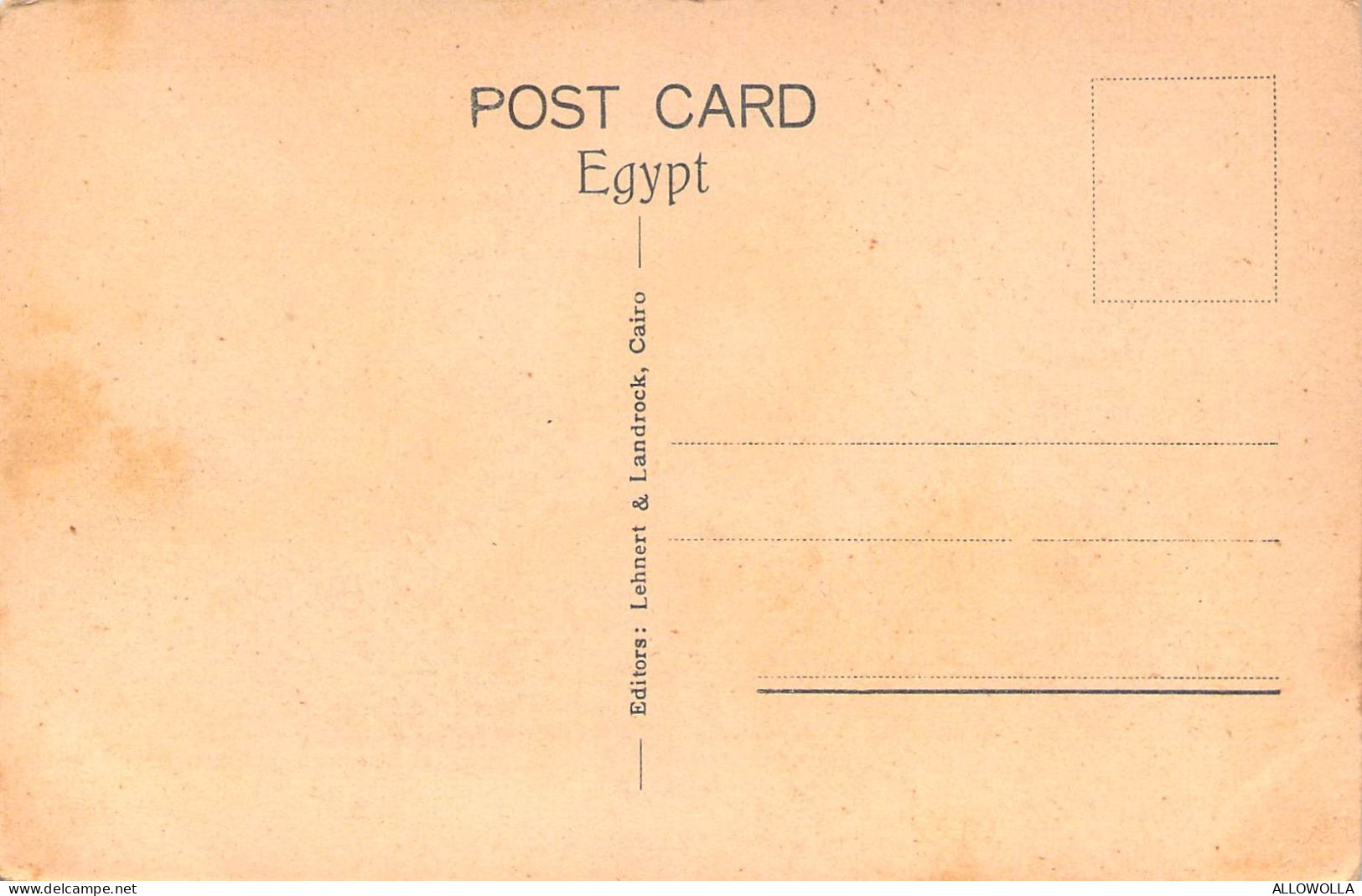 27048 " LUXOR-THE LUXOR TEMPLE SEEN FROM THE NILE " ANIMATED-VERA FOTO-CART. POST.NON SPED. - Israël