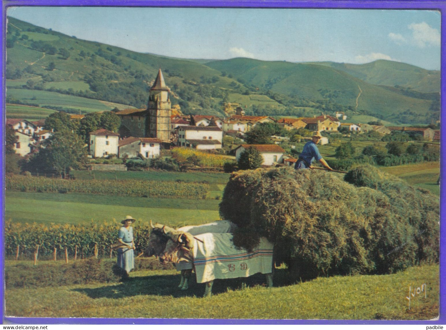 Carte Postale 64. Ainhoa  La Fenaison  Attelage De Boeufs   Très Beau Plan - Ainhoa