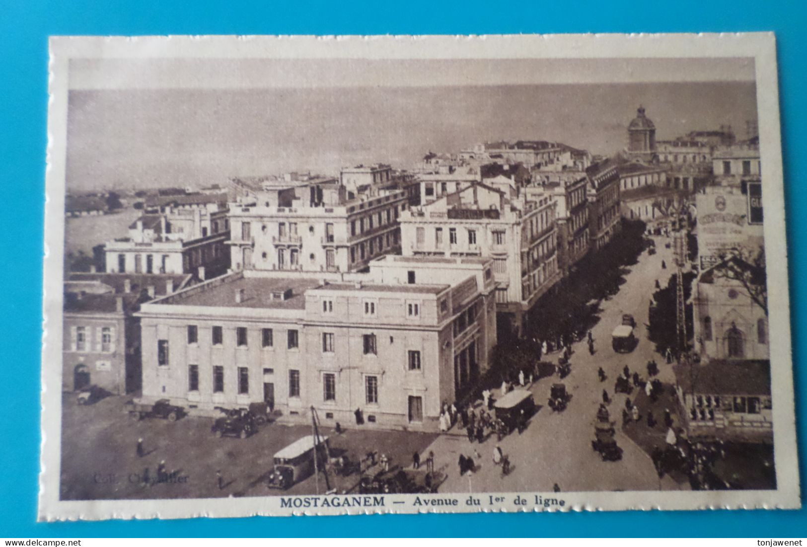 MOSTAGANEM - Avenue Du 1er De Ligne ( Algérie ) - Mostaganem