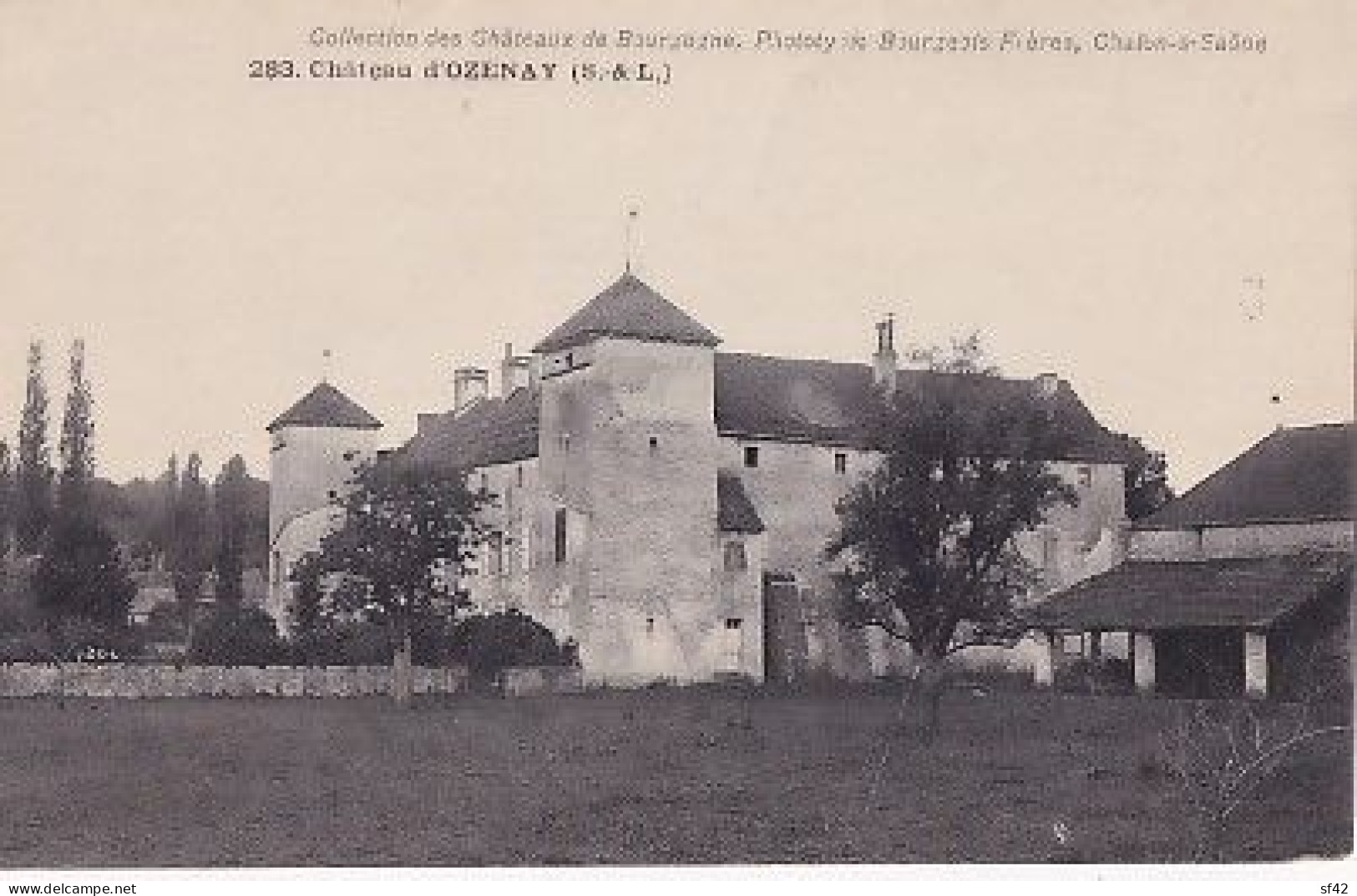 CHATEAU D OZENAY - Autres & Non Classés