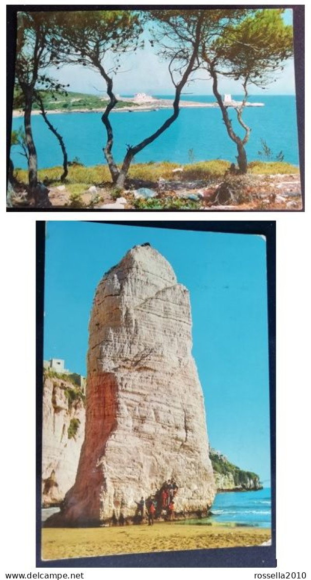 LOTTO 2 CARTOLINE ITALIA FOGGIA GARGANO VIESTE Italy Postcards Set ITALIEN Ansichtskarten - Foggia