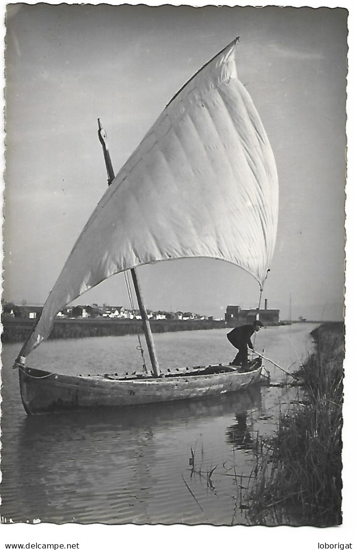 CANAL DE L'ALBUFERA / CANAL DE LA ALBUFERA / ALBUFERA CANAL.- VALENCIA.- ( ESPAÑA ). - Valencia