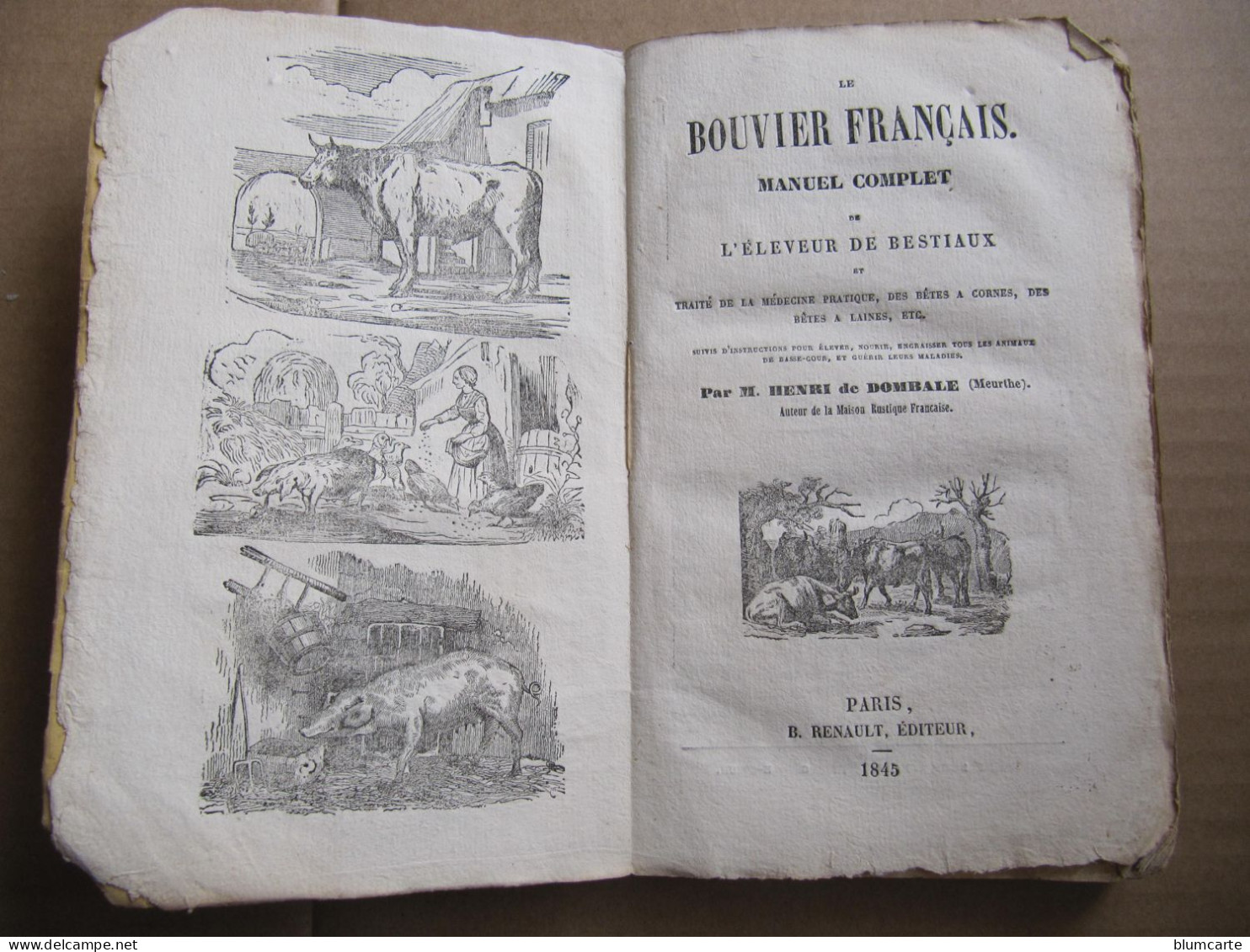 LE BOUVIER FRANCAIS - MANUEL DE L'ELEVEUR DE BESTIAUX - HENRI DE DOMBALE - MEDECINE PRATIQUE - 1845 - 1801-1900