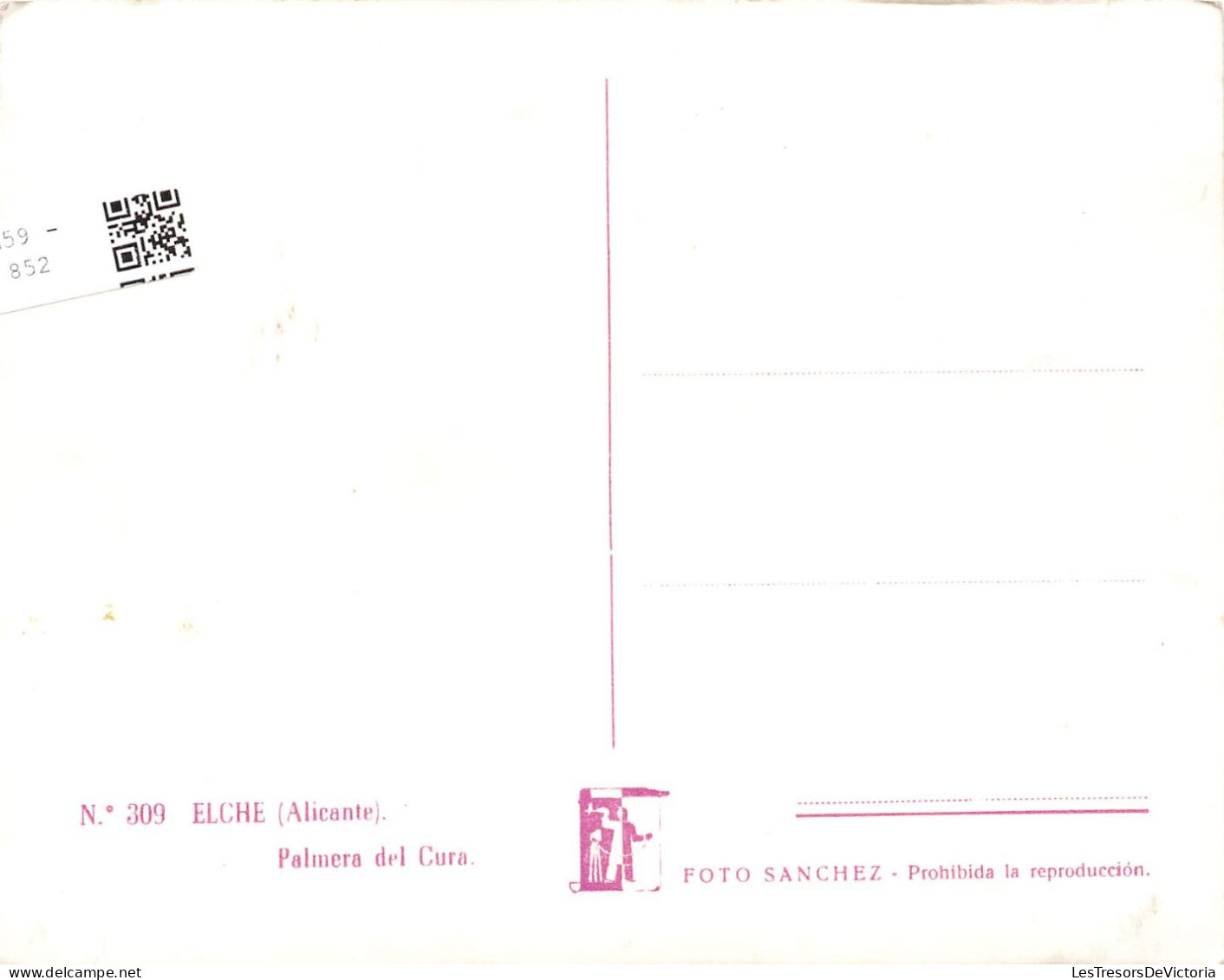 ESPAGNE - Alicante - Elche - Palmera Del Cura - Carte Postale - Alicante