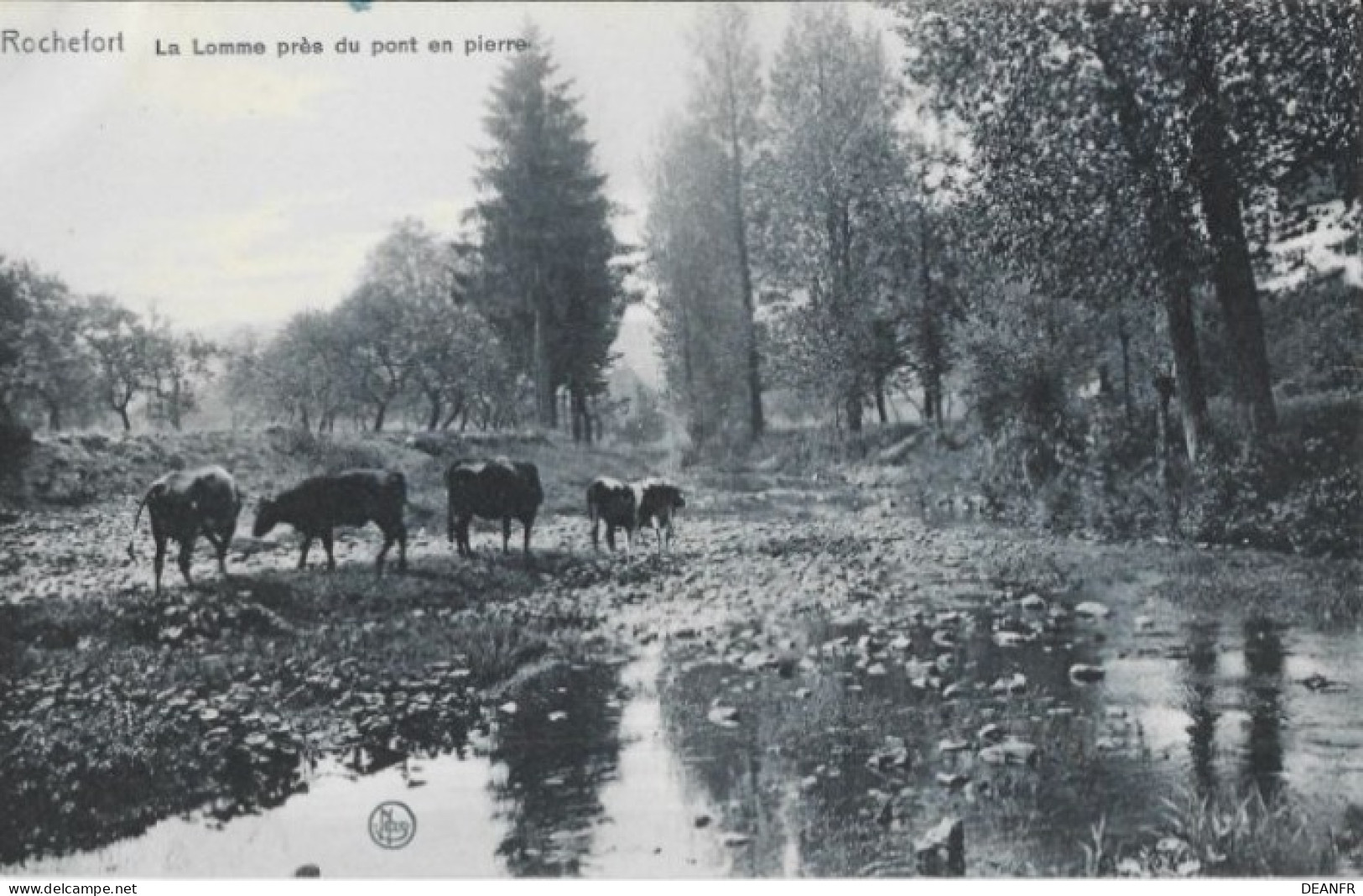 ROCHEFORT : La Lomme Près Du Pont En Pierre. Carte Impeccable. - Rochefort