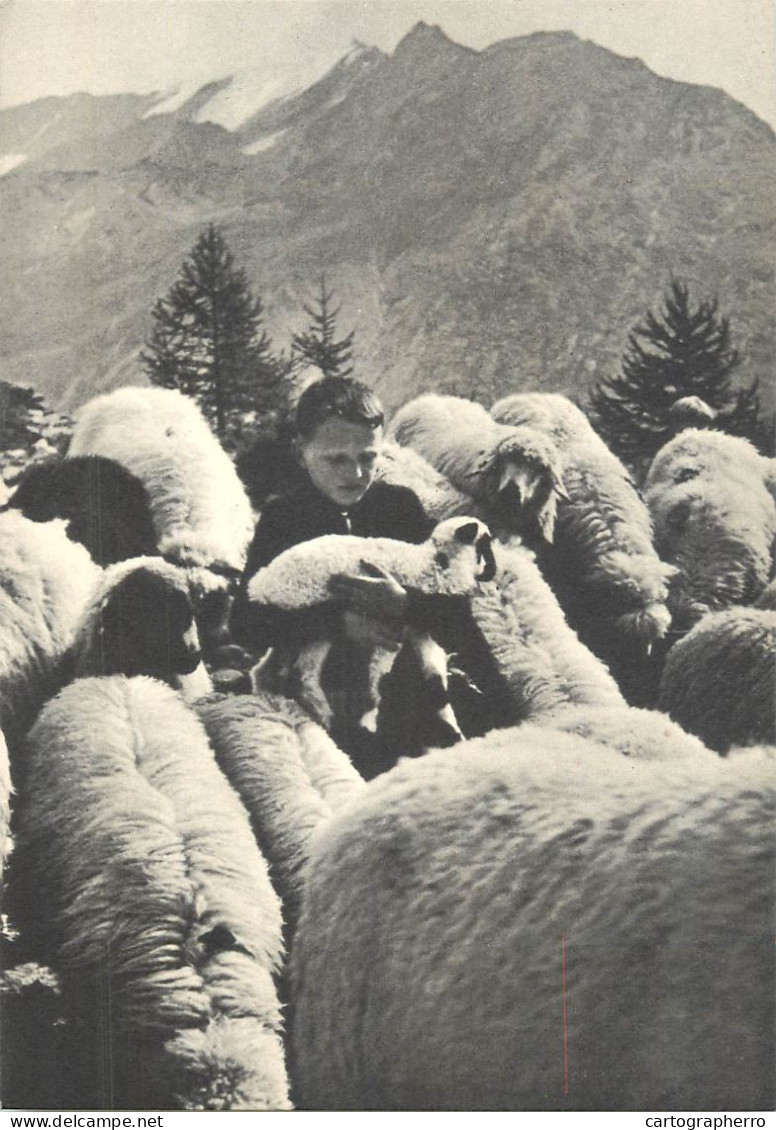 Postcard Switzerland Bern Child And Lamb - Sonstige & Ohne Zuordnung