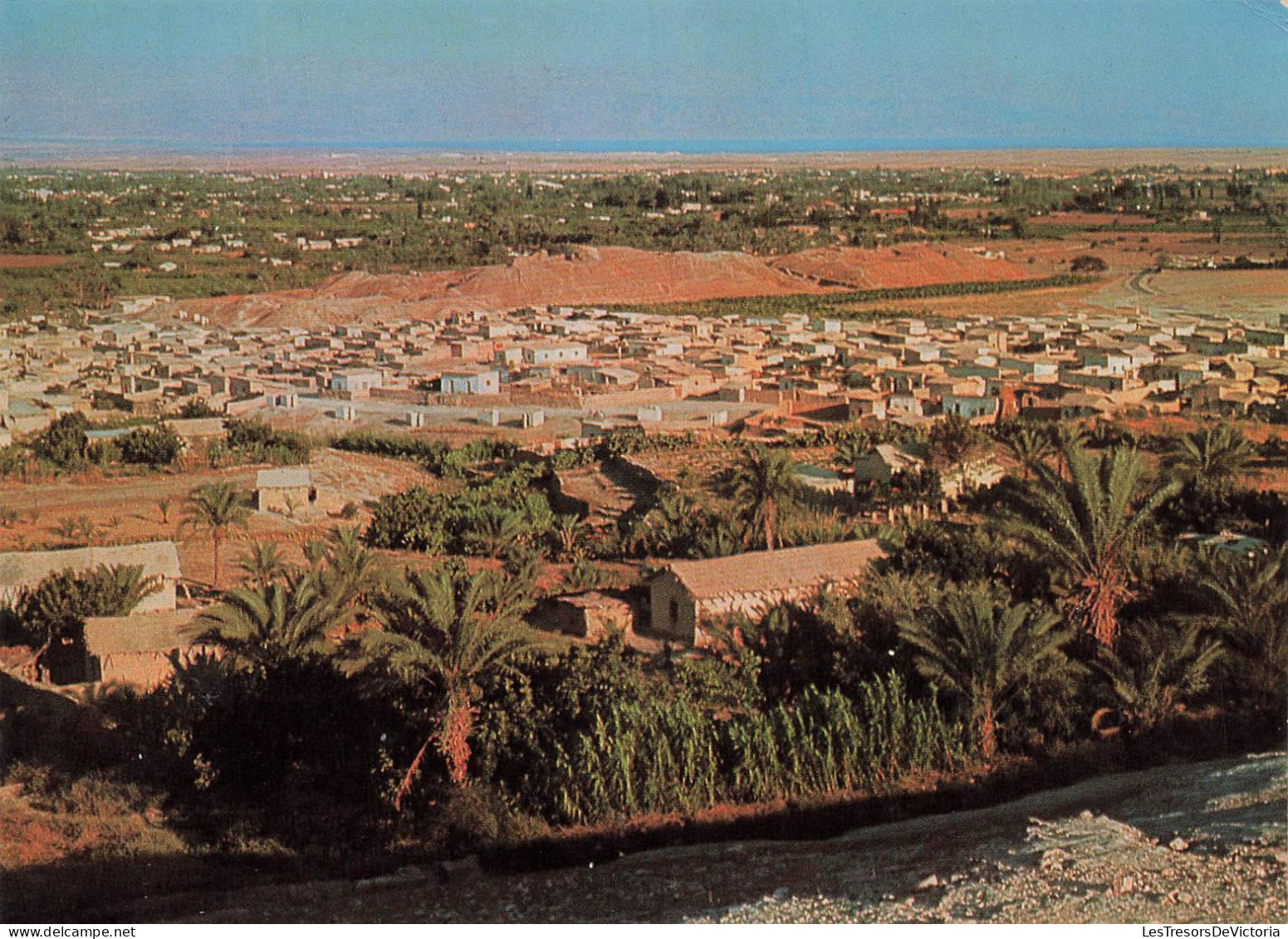 PALESTINE - Mont Nebo - Old Jericho - Colorisé - Carte Postale - Palestine