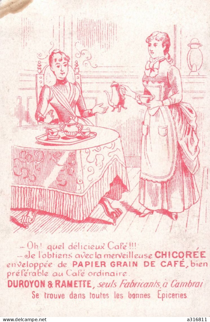 Chicoree Papier Grain De Cafe - Thé & Café