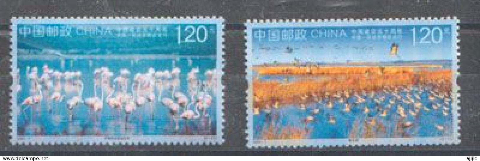 2023. Joint Issue CHINA-SPAIN. Emission Conjointe CHINE-ESPAGNE. Flamants Roses. 2 Timbres Neufs ** - Neufs