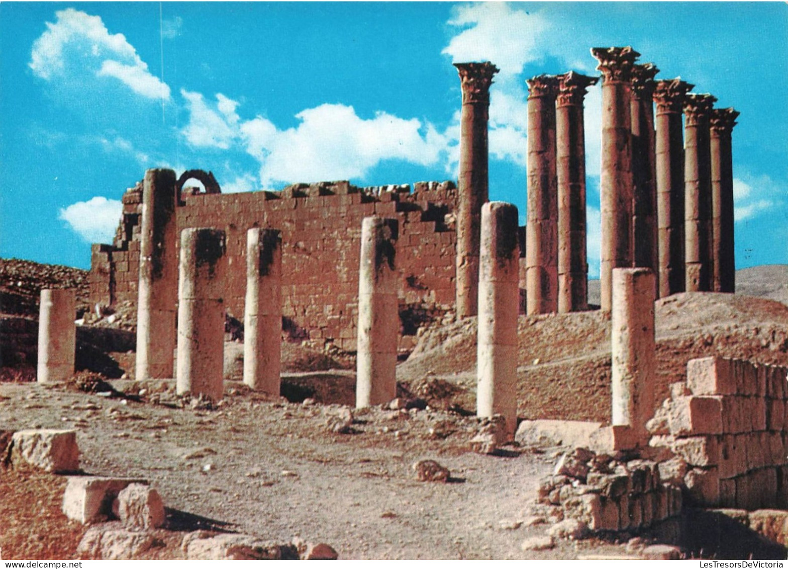 JORDANIE -  Jerash - Ruines Anciennes Avec Plusieurs Colonnes - Colorisé - Carte Postale - Jordan