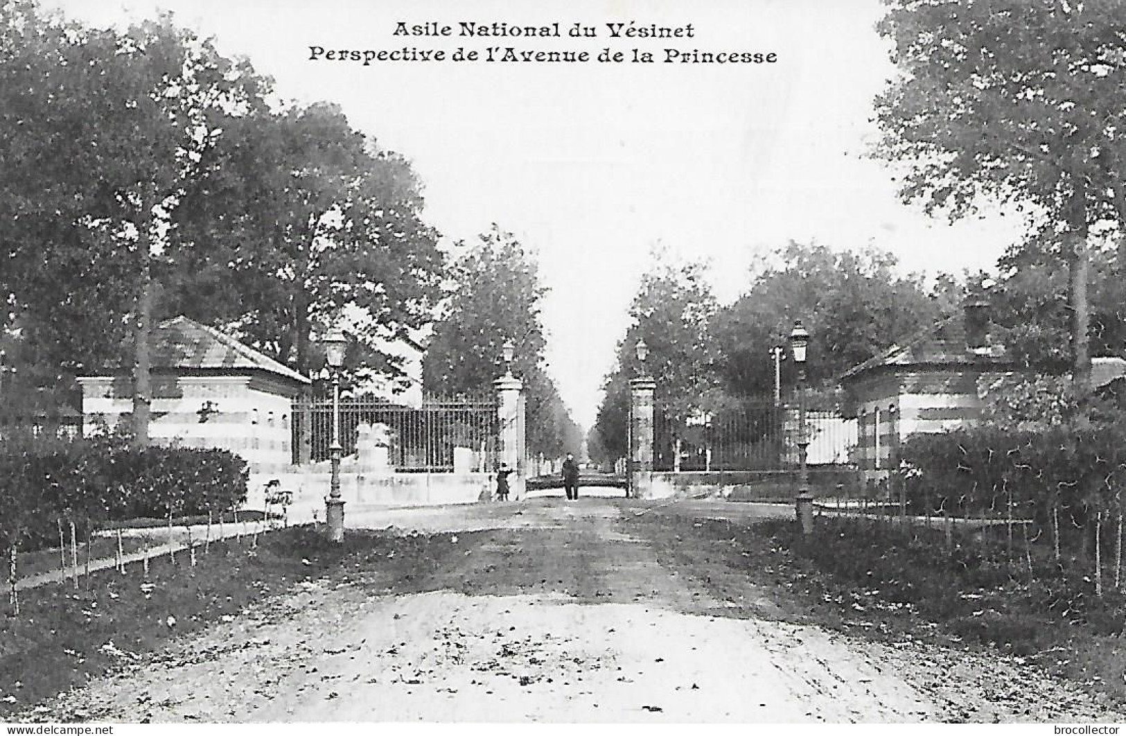 LE VESINET ( 78 ) - Avenue De La Princesse - Le Vésinet