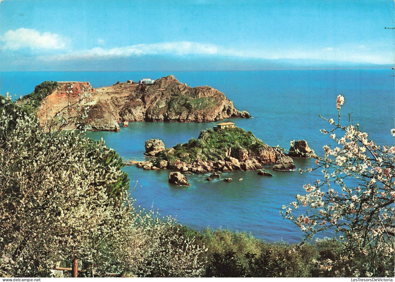 ITALIE - Taormina - La Belle Ile Et Le Cap S André - Vue Sur La Mer - Carte Postale Ancienne - Messina