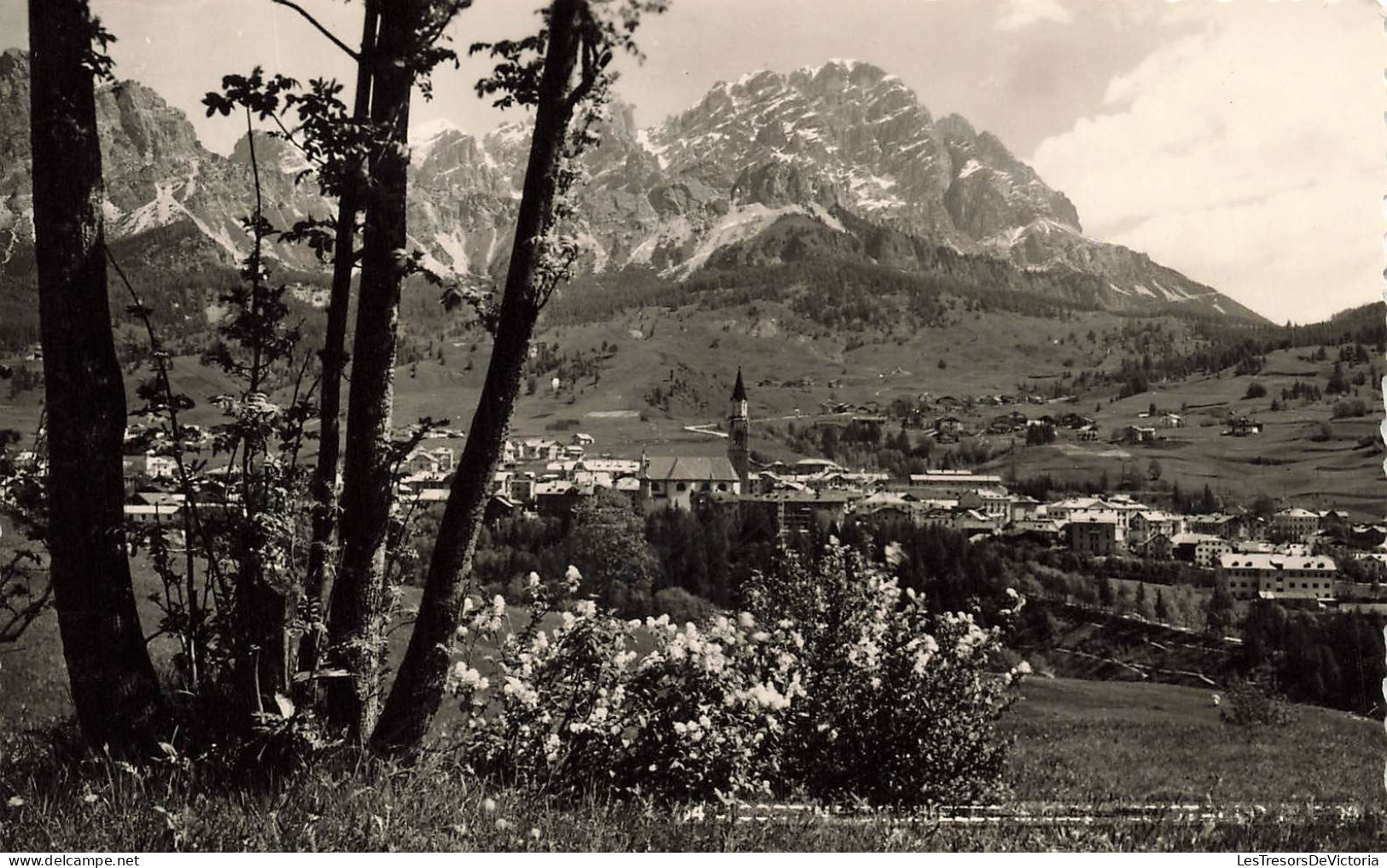 ITALIE - Belluno - Cortina - M. Cristallo - Carte Postale - Belluno