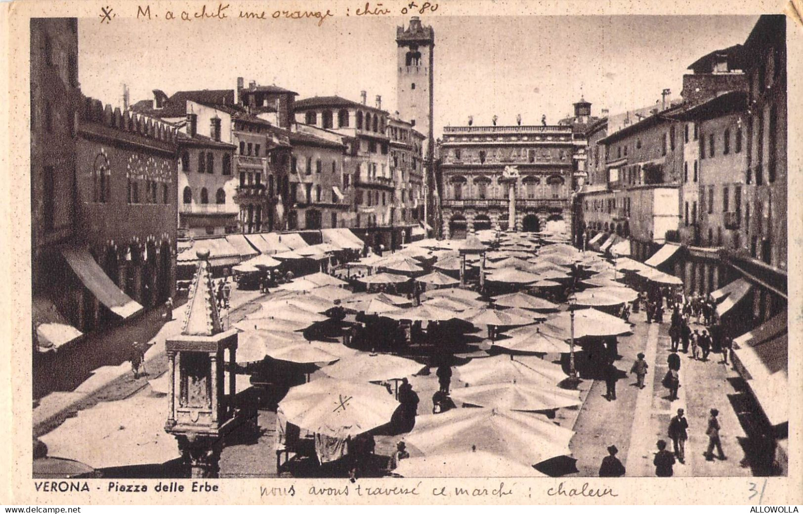 27074 " VERONA-PIAZZA DELLE ERBE " ANIMATA-VERA FOTO-CART. POST. NON SPED. - Verona