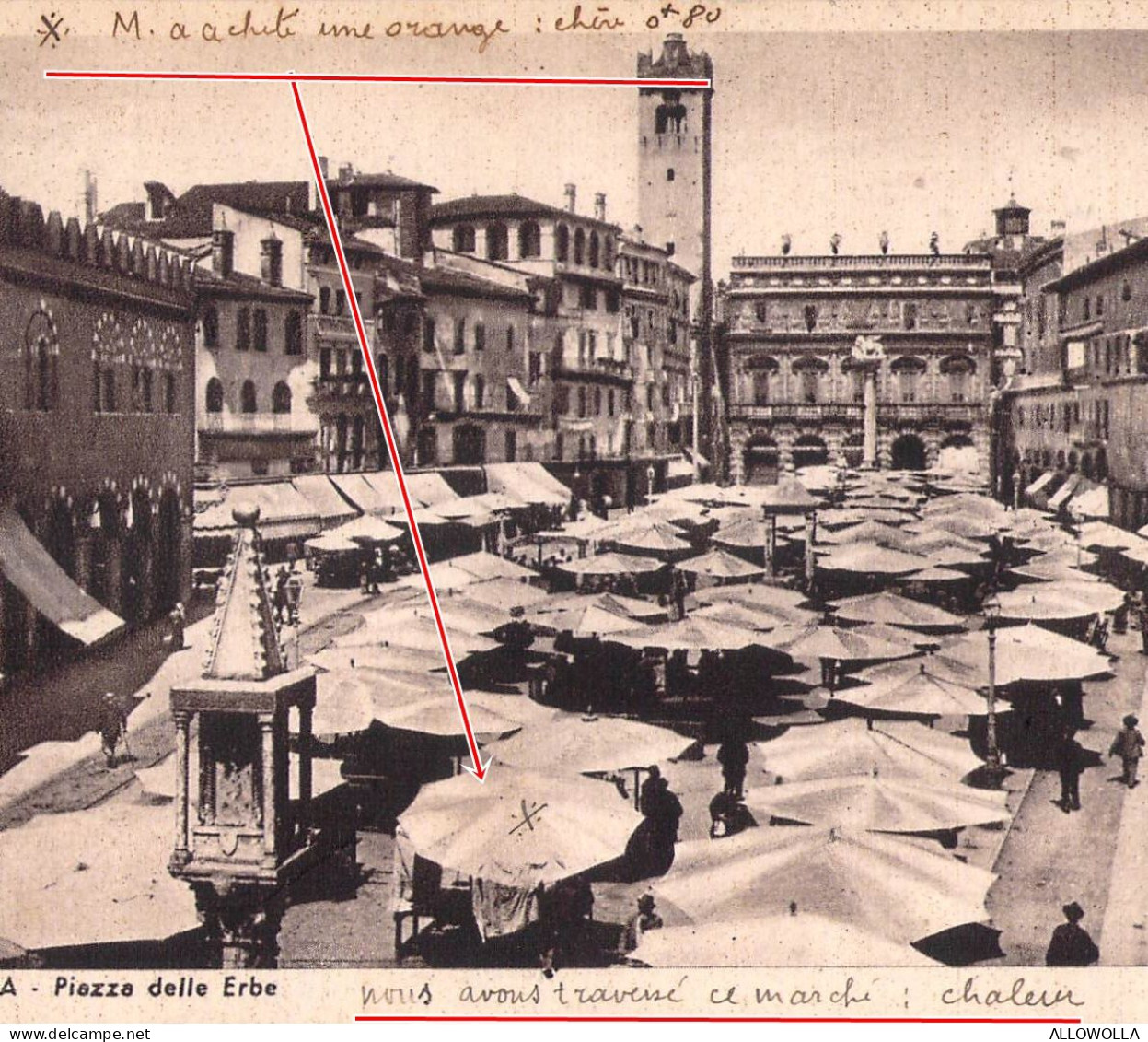 27074 " VERONA-PIAZZA DELLE ERBE " ANIMATA-VERA FOTO-CART. POST. NON SPED. - Verona