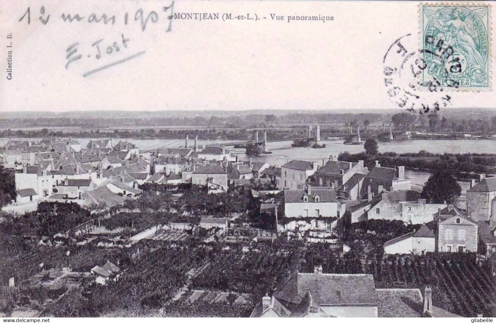 49 - Maine Et Loire - MONTJEAN Sur LOIRE  - Vue Panoramique - Sonstige & Ohne Zuordnung