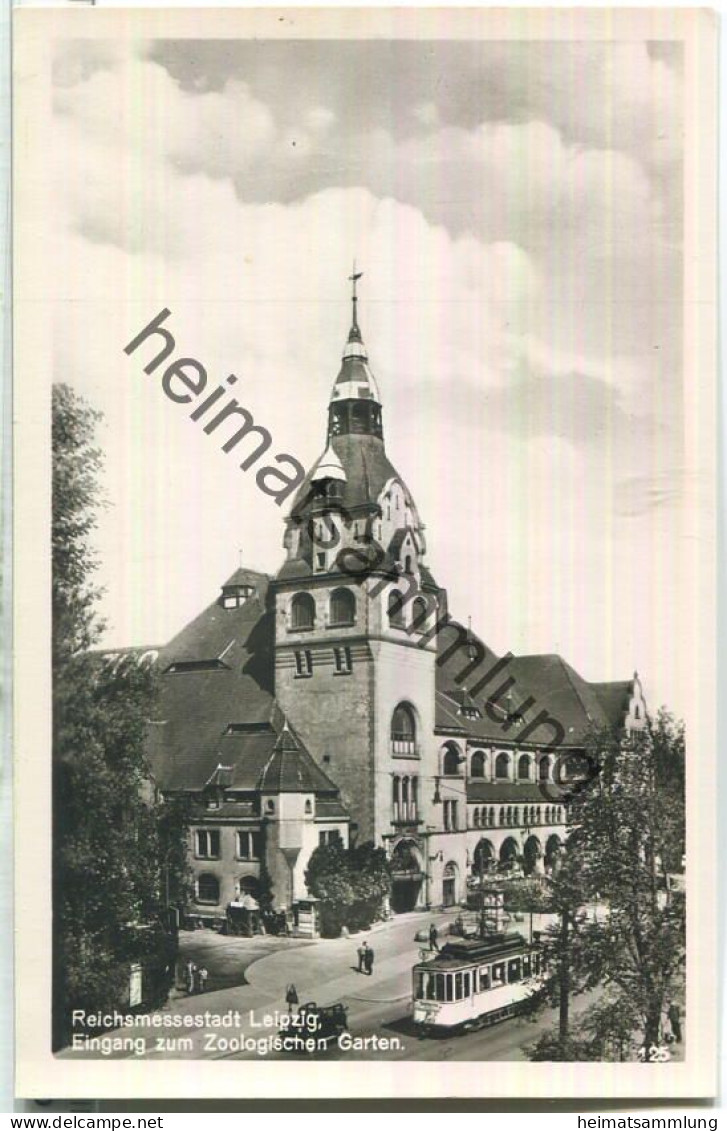 Leipzig - Eingang Zum Zoologischen Garten - Strassenbahn - Foto-Ansichtskarte - Leipzig