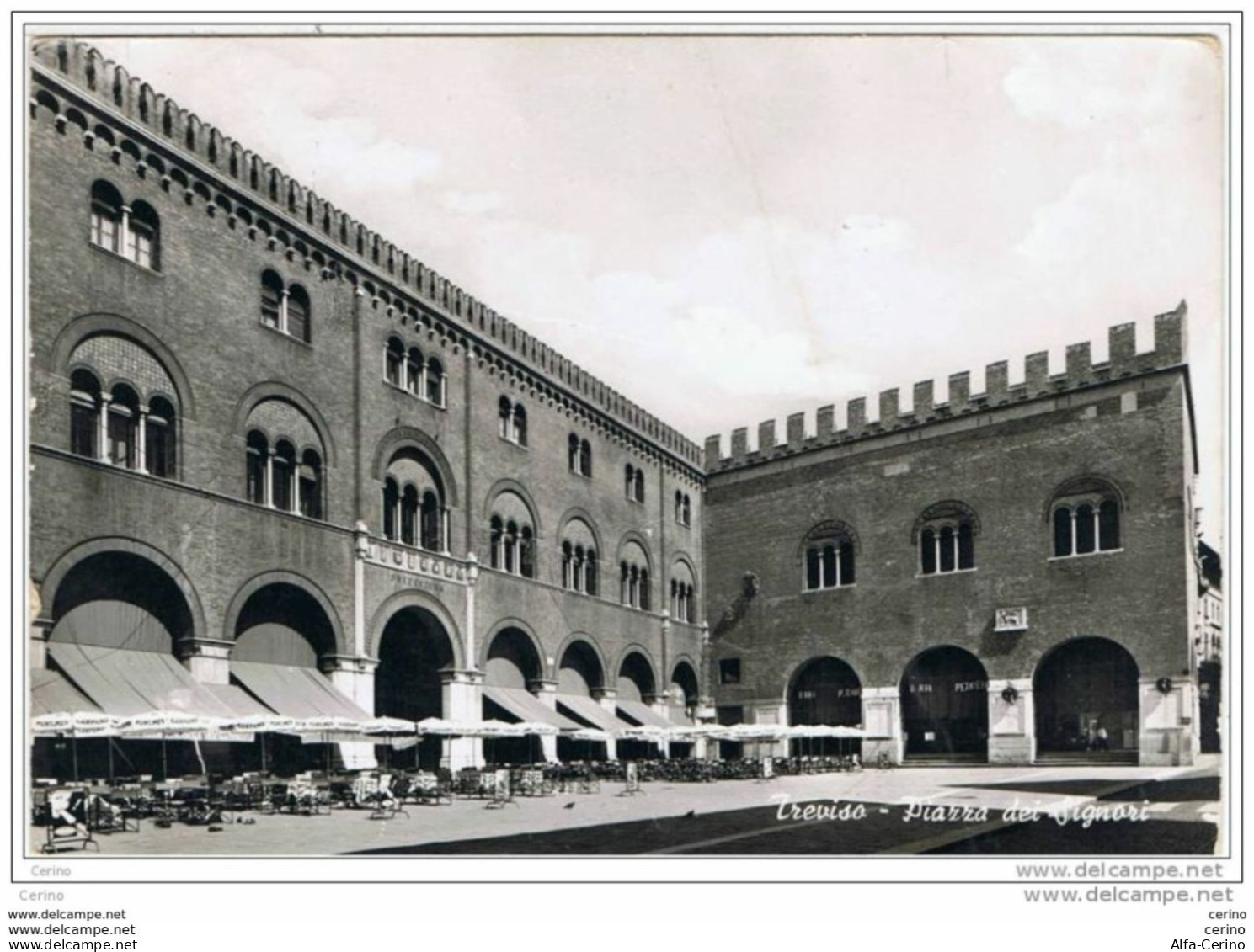 TREVISO:  PIAZZA  DEI  SIGNORI  -  F.LLO  TOLTO  -  FOTO  -  FG - Treviso