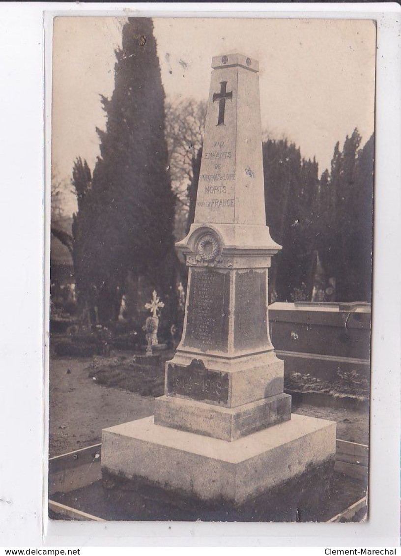 SAINT-GEORGES-sur-LOIRE: Monument Aux Morts - Très Bon état - Saint Georges Sur Loire