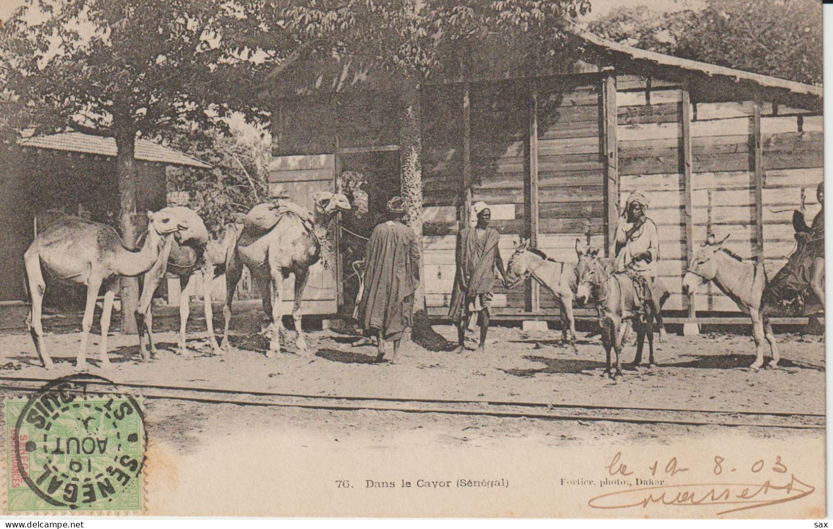 2421-136 Avant 1905 N°76  Sénégal Dans Le Cayor Fortier Photo Dakar     Retrait 08-06 - Senegal