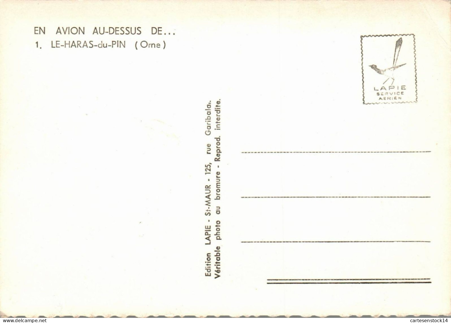 N°42528 Z -cpsm Le Haras Du Pin -en Avion Au Dessus De - Andere & Zonder Classificatie