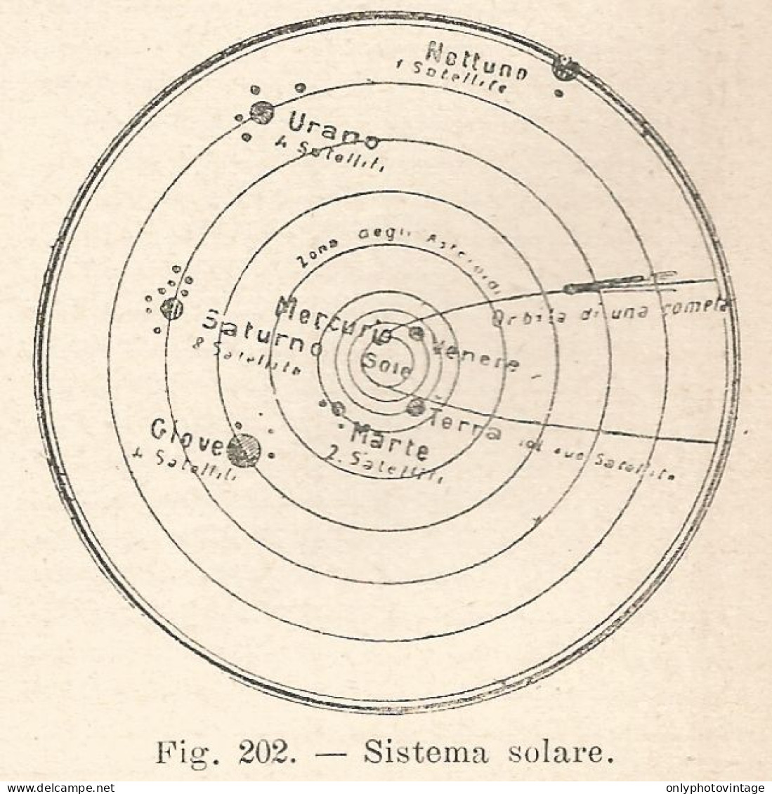 Sistema Solare - Xilografia D'epoca - 1924 Old Engraving - Stiche & Gravuren