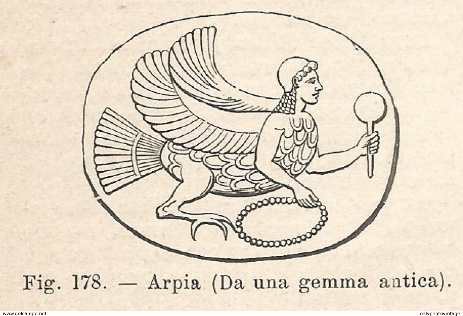 Arpia Da Una Gemma Antica - Xilografia D'epoca - 1924 Old Engraving - Stiche & Gravuren