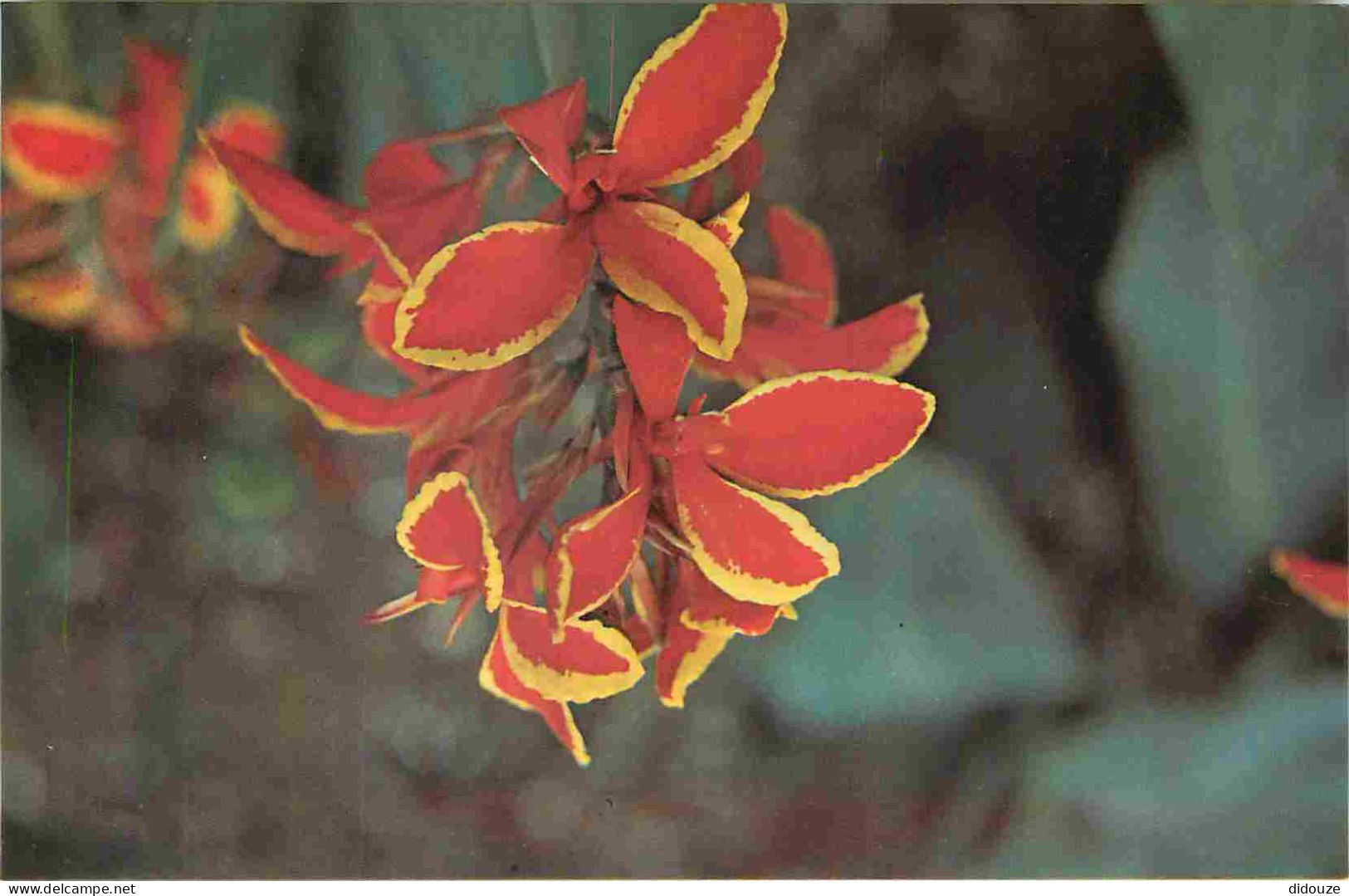 Inde - Urban Council - Fleurs - India - CPM - Carte Neuve - Voir Scans Recto-Verso - Inde