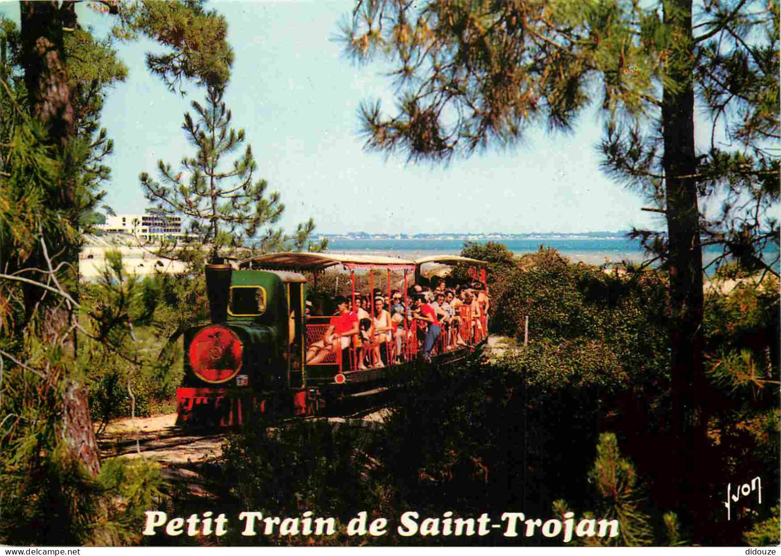 Trains - Trains - Ile D'Oléron - Saint Trojan Les Bains - Le Petit Train Dans La Forêt Après Avoir Longé La Plage - A Ga - Trenes