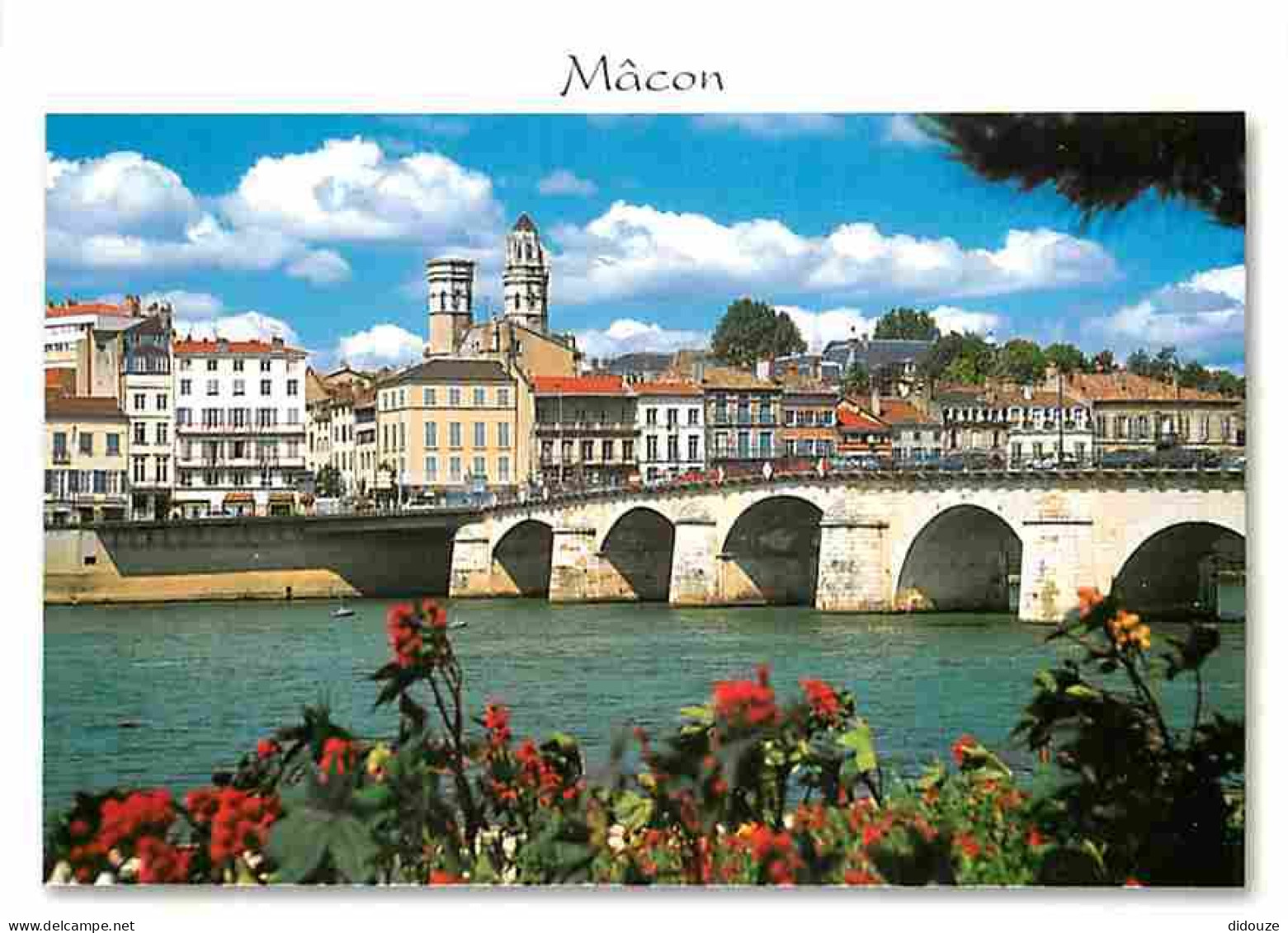 71 - Macon - Le Pont De Saint-Laurent - Fleurs - CPM - Voir Scans Recto-Verso - Macon