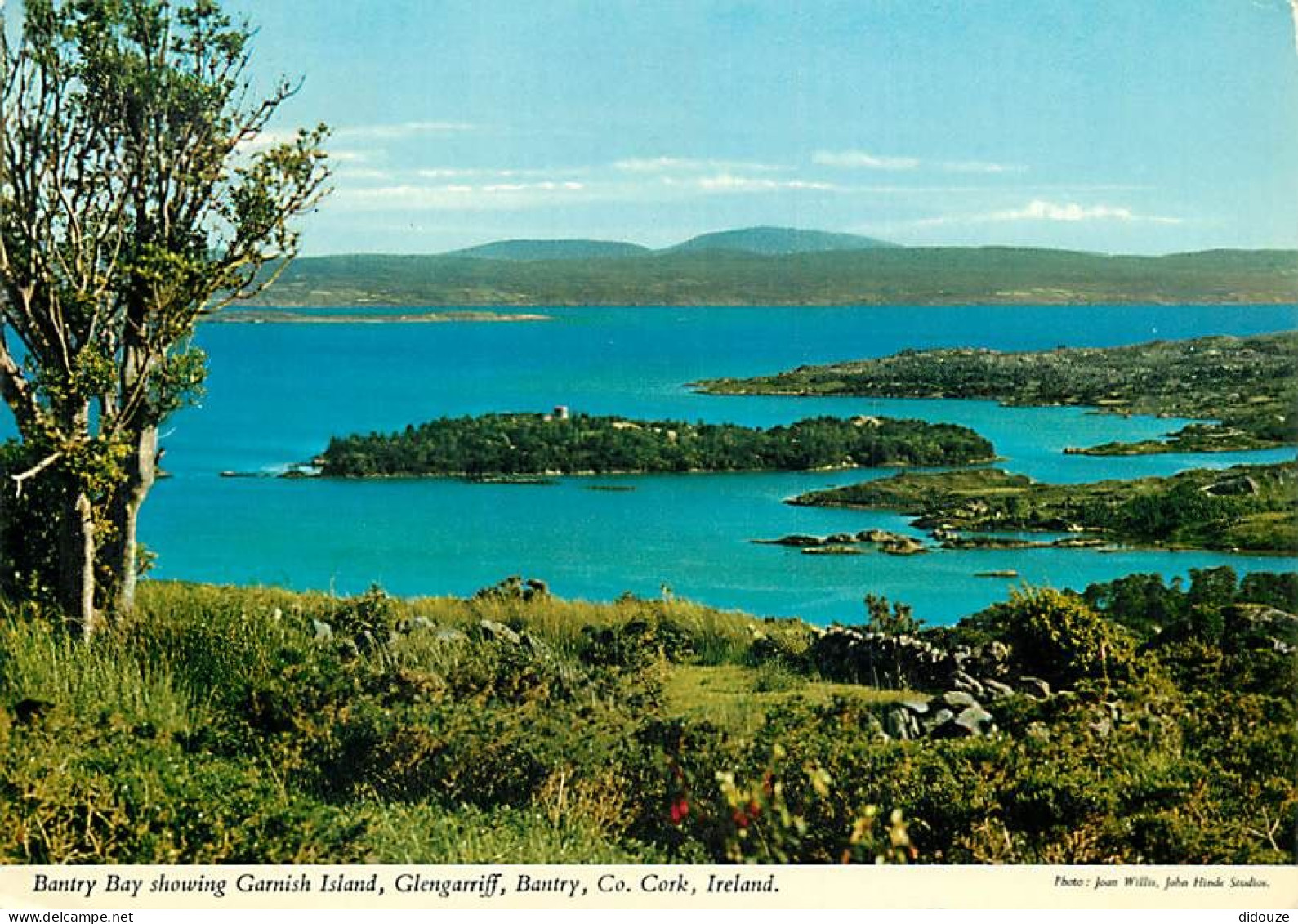 Irlande - Cork - Glengarriff - Bantry - Bantry Bay Showing Garnish Island - Ireland - CPM - Voir Scans Recto-Verso - Cork