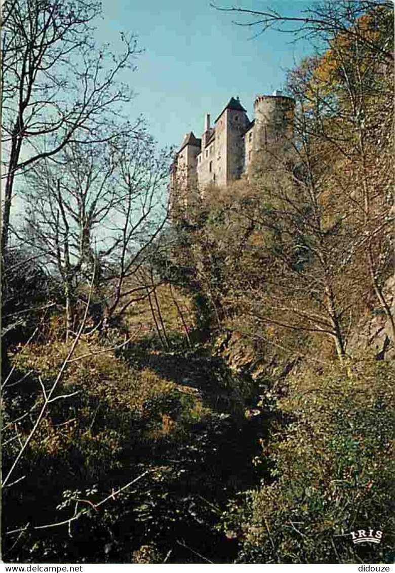 23 - Boussac - Le Château - Carte Neuve - CPM - Voir Scans Recto-Verso - Boussac