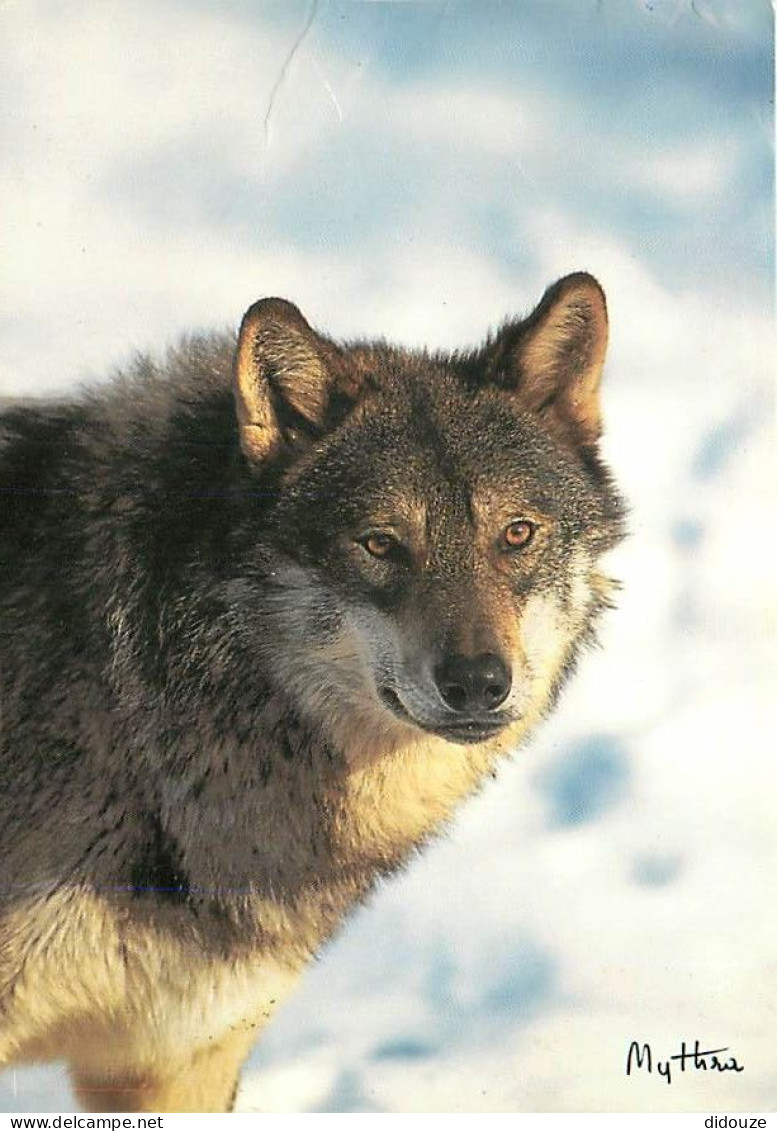 Animaux - Loups - Hiver - Neige - CPM - Voir Scans Recto-Verso - Andere & Zonder Classificatie