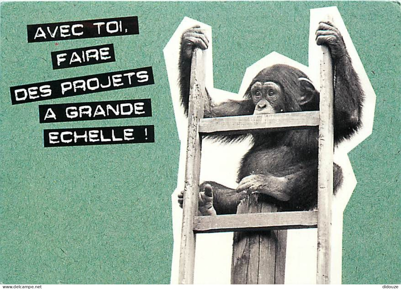 Animaux - Singes - Chimpanzé - Carte à Message - CPM - Voir Scans Recto-Verso - Apen