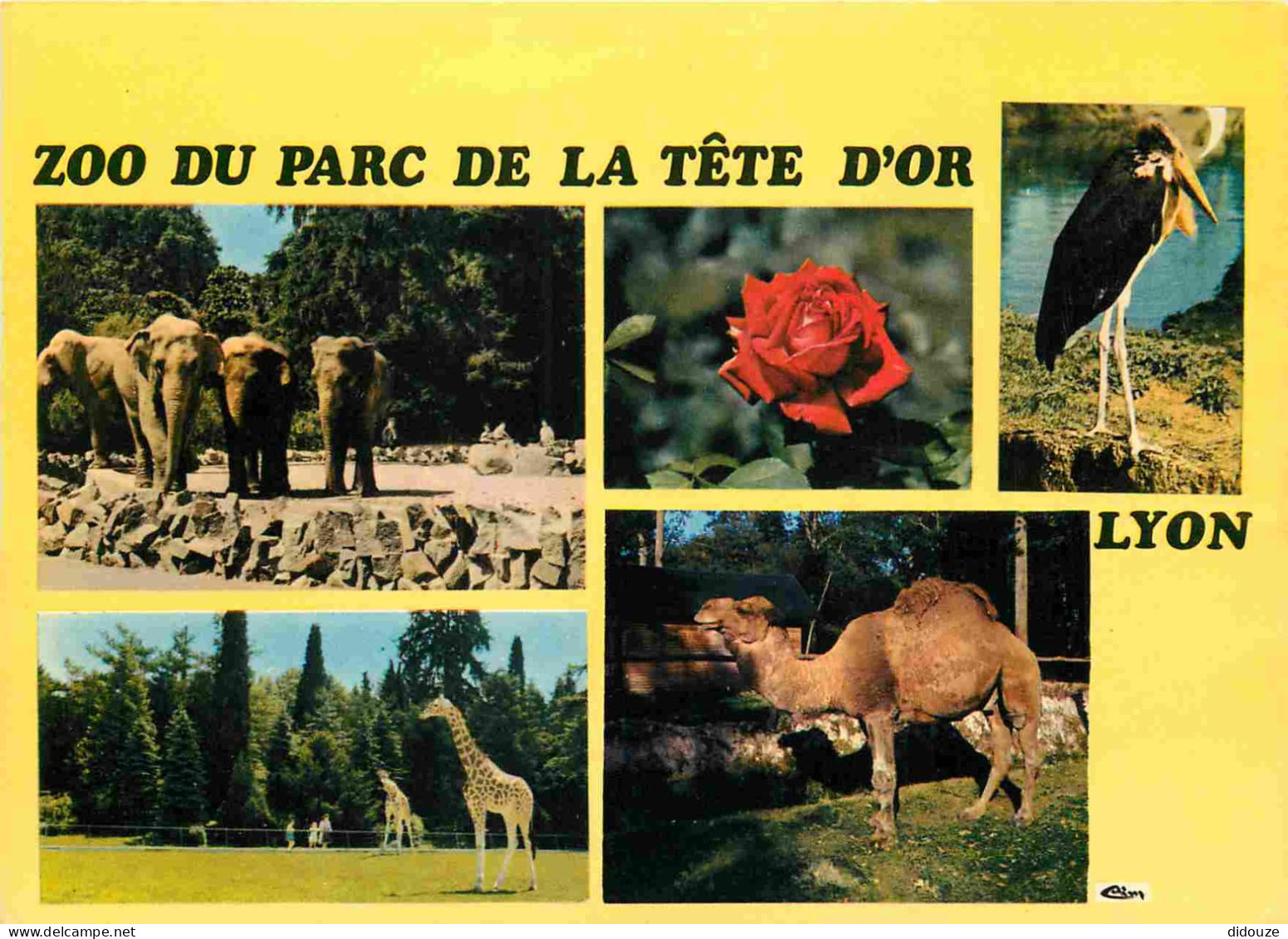 Animaux - Lyon - Parc De La Tête D'Or - Multivues - Zoo - CPM - Voir Scans Recto-Verso - Sonstige & Ohne Zuordnung