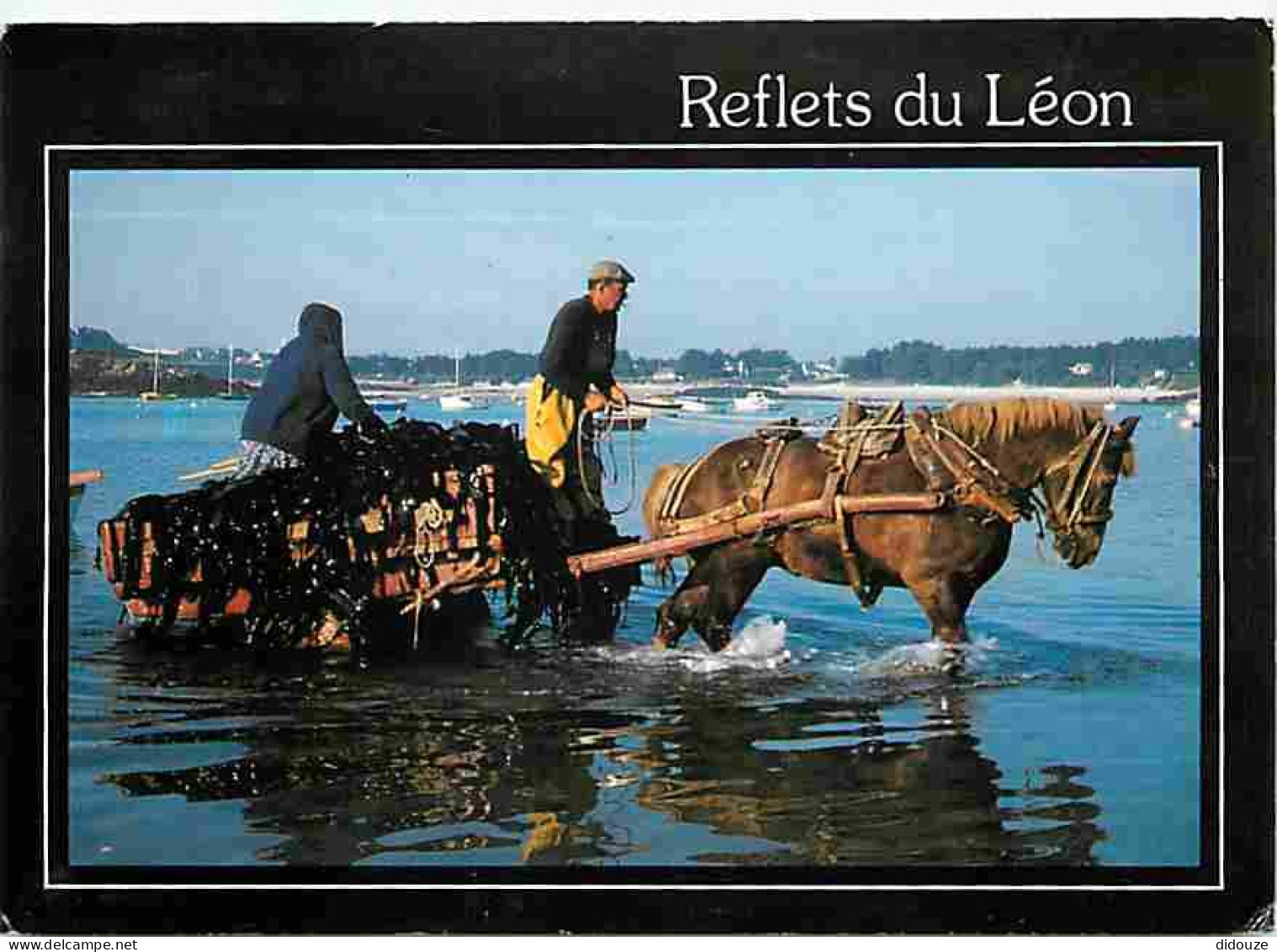 Animaux - Chevaux - Bretagne  - Reflets Du Léon - Le Retour Du Pigoullier - Flamme Postale - Voir Scans Recto Verso  - Chevaux