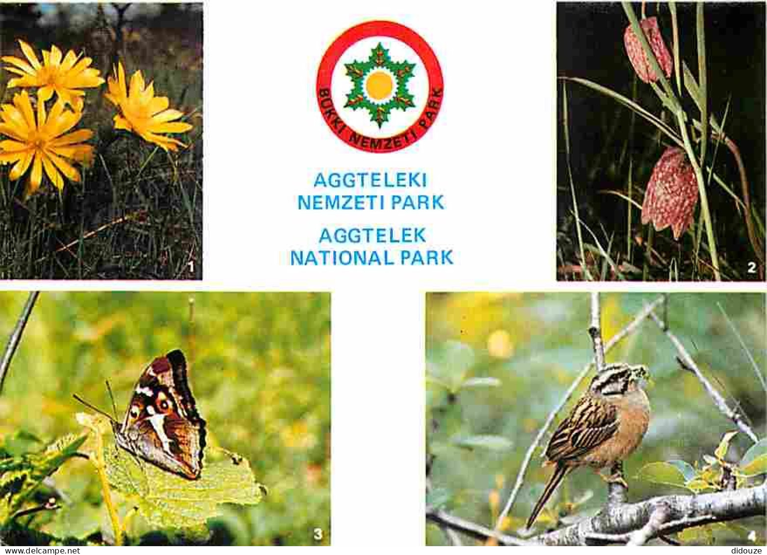 Animaux - Aggtelek National Park - Papillon - Oiseau - Multivues - CPM - Voir Scans Recto-Verso - Autres & Non Classés