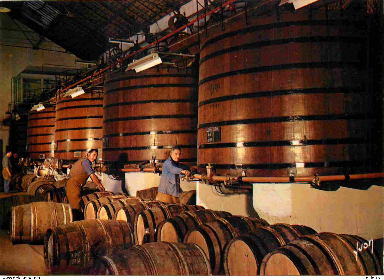 16 - Cognac - Cognac Hennessy - Quelques-uns Des Foudres Servant Eu Méiange Et Au Filtrage Des Cognacs - CPM - Voir Scan - Cognac