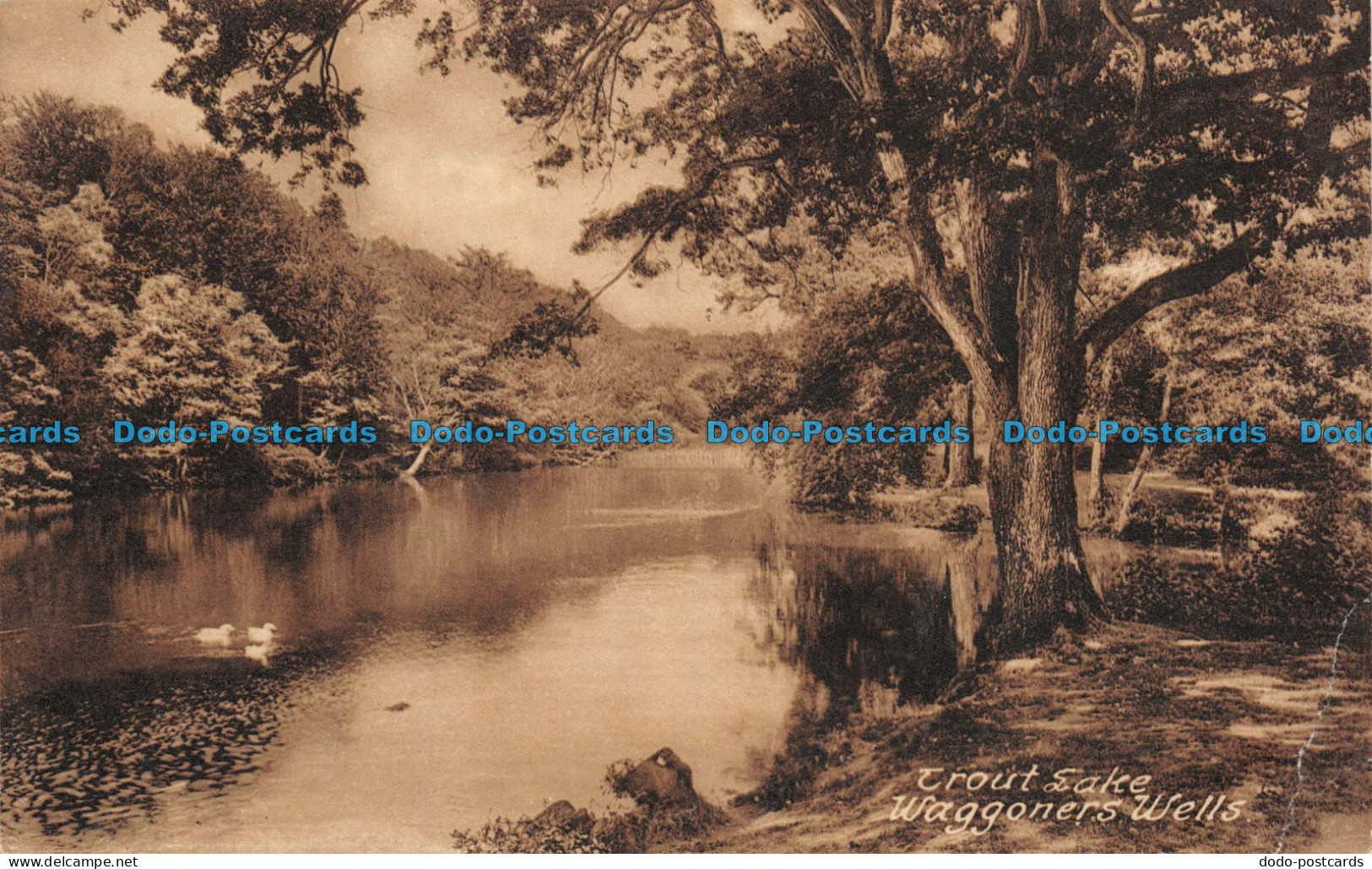 R105396 Trout Lake. Waggoners Wells. Friths Series. A. E. Bridger. No. 77124 - Mundo