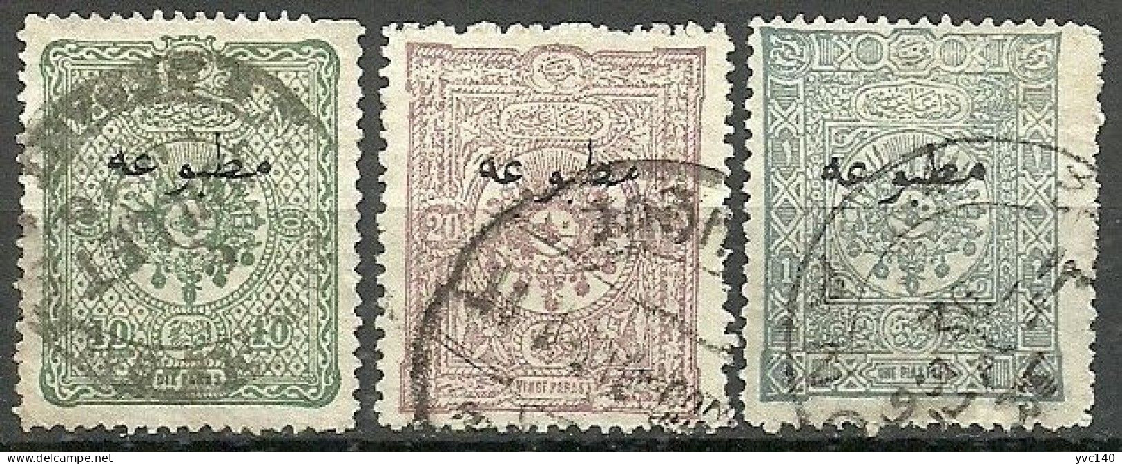 Turkey; 1893 Overprinted Stamps For Printed Matter - Oblitérés