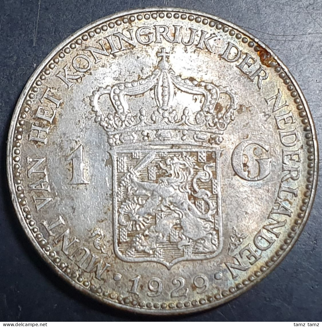 Netherlands 1 Gulden Wilhelmina 1929 Silver Original Luster + Toning - 1 Gulden