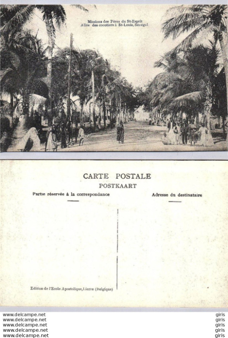 Afrique - Missions Des Pères Du Saint Esprit - Allée Des Cocotiers - Non Classés