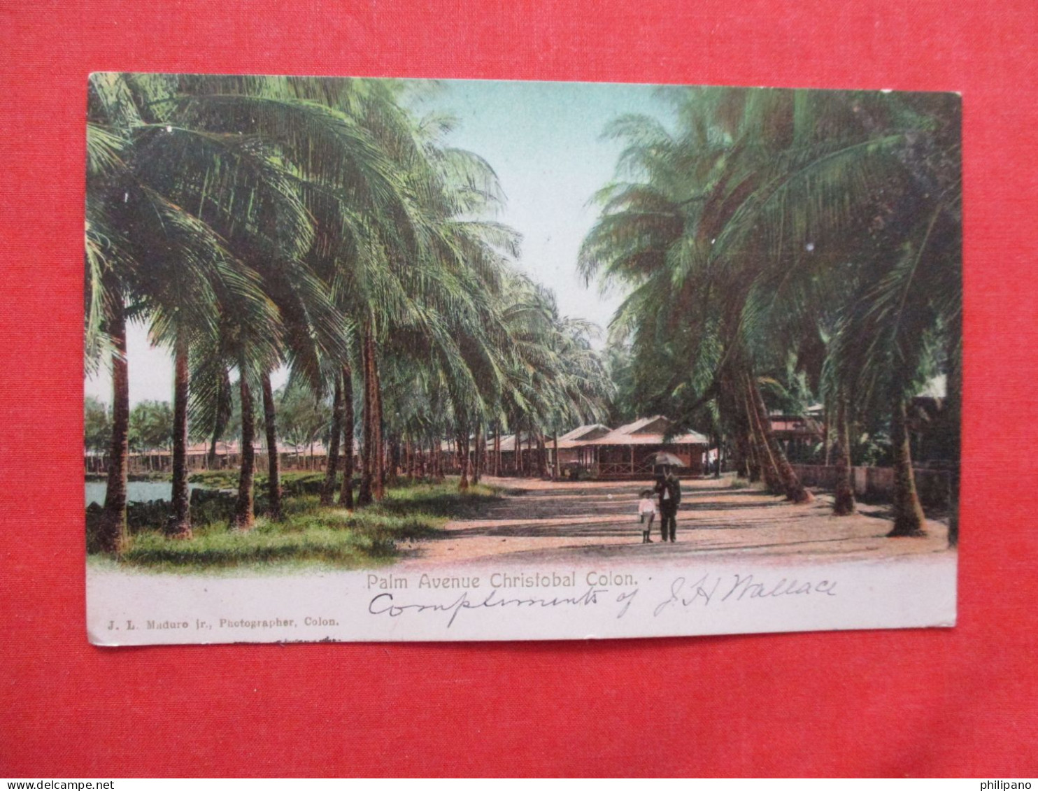Palm Avenue Christobal Colon. Canal Zone Over Print Stamp     Ref 6413 - Panama