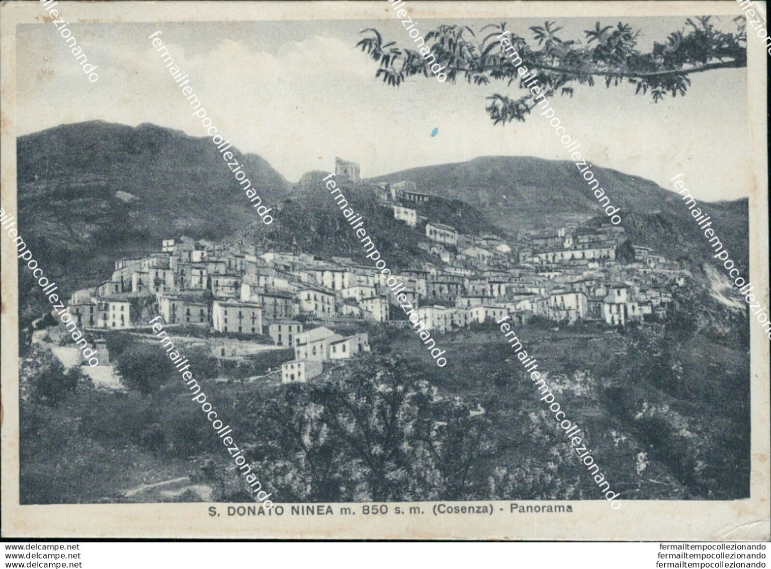 Bi476 Cartolina S.donato Minea Panorama Provincia Di Cosenza - Cosenza