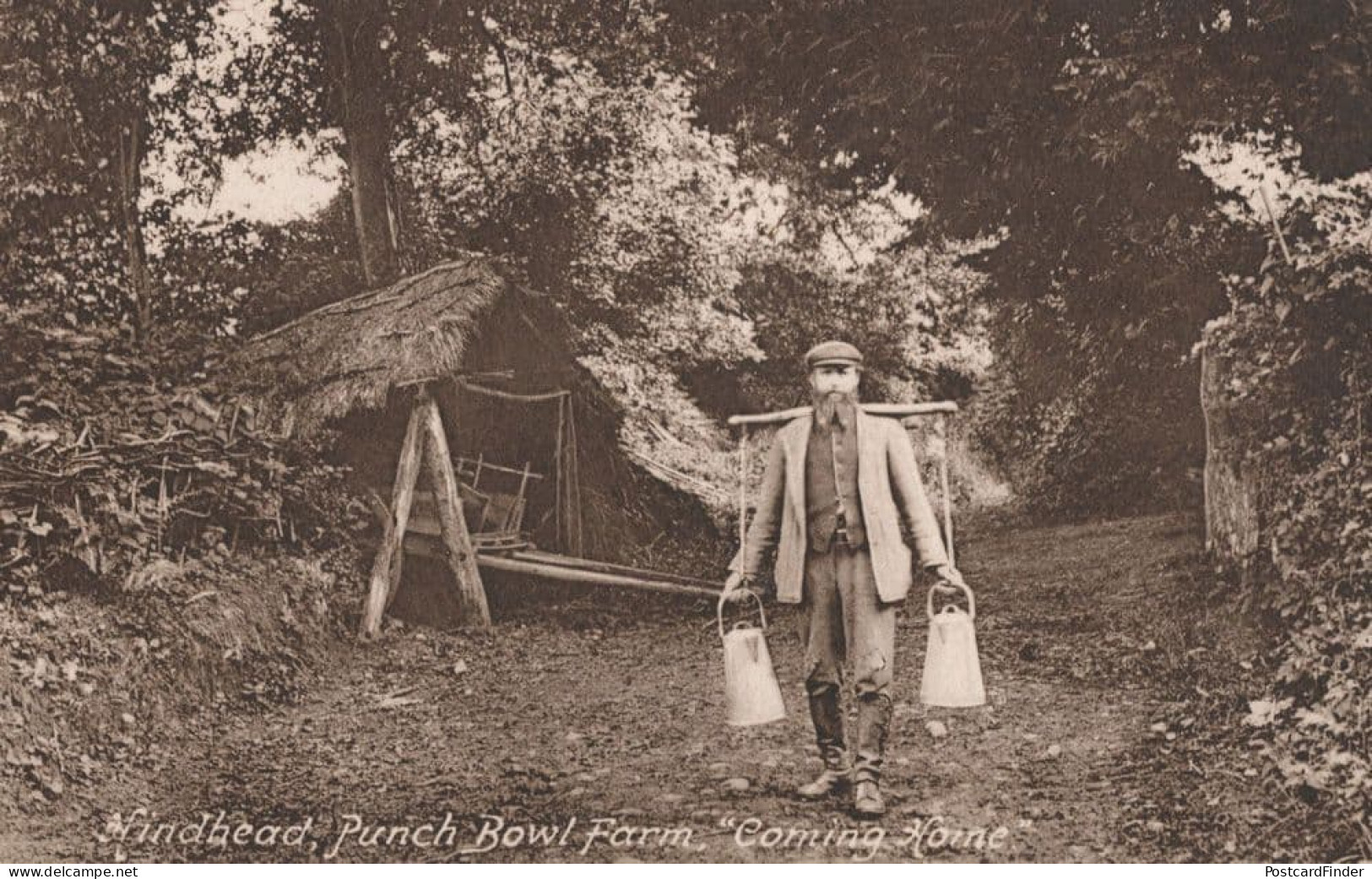 Hindhead Punch Bowl Farm Surrey Coming Home Friths Old Postcard - Farms