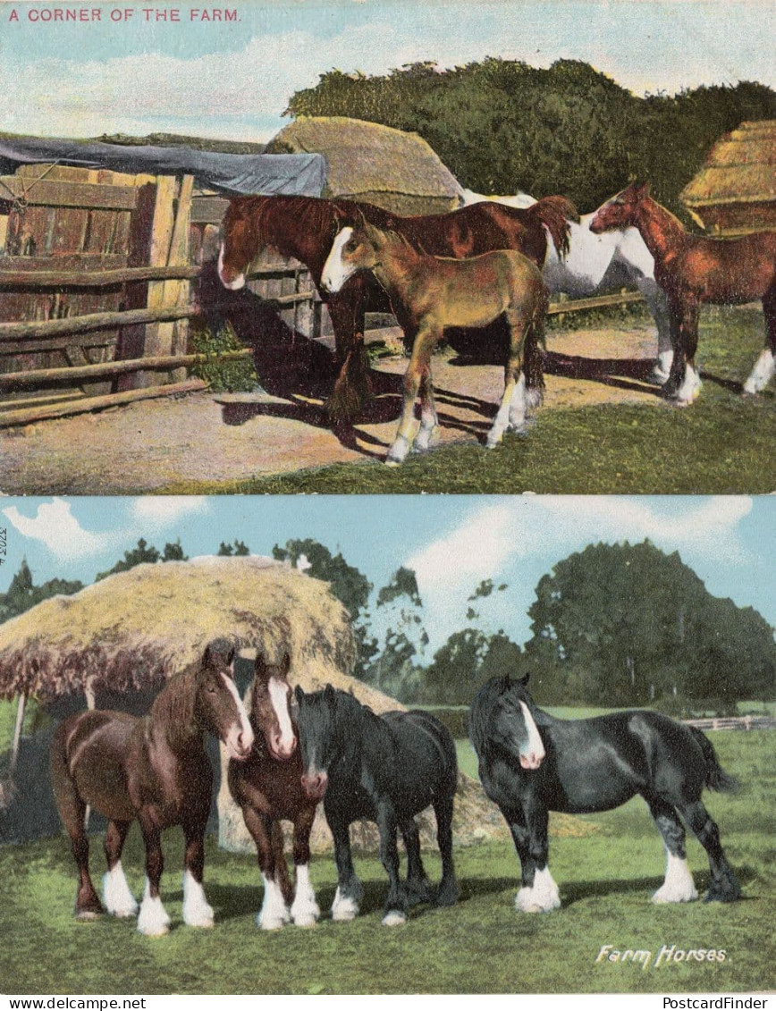 A Corner Of The Farm& Horses E. S. No 1457 2x Old Postcard - Farms