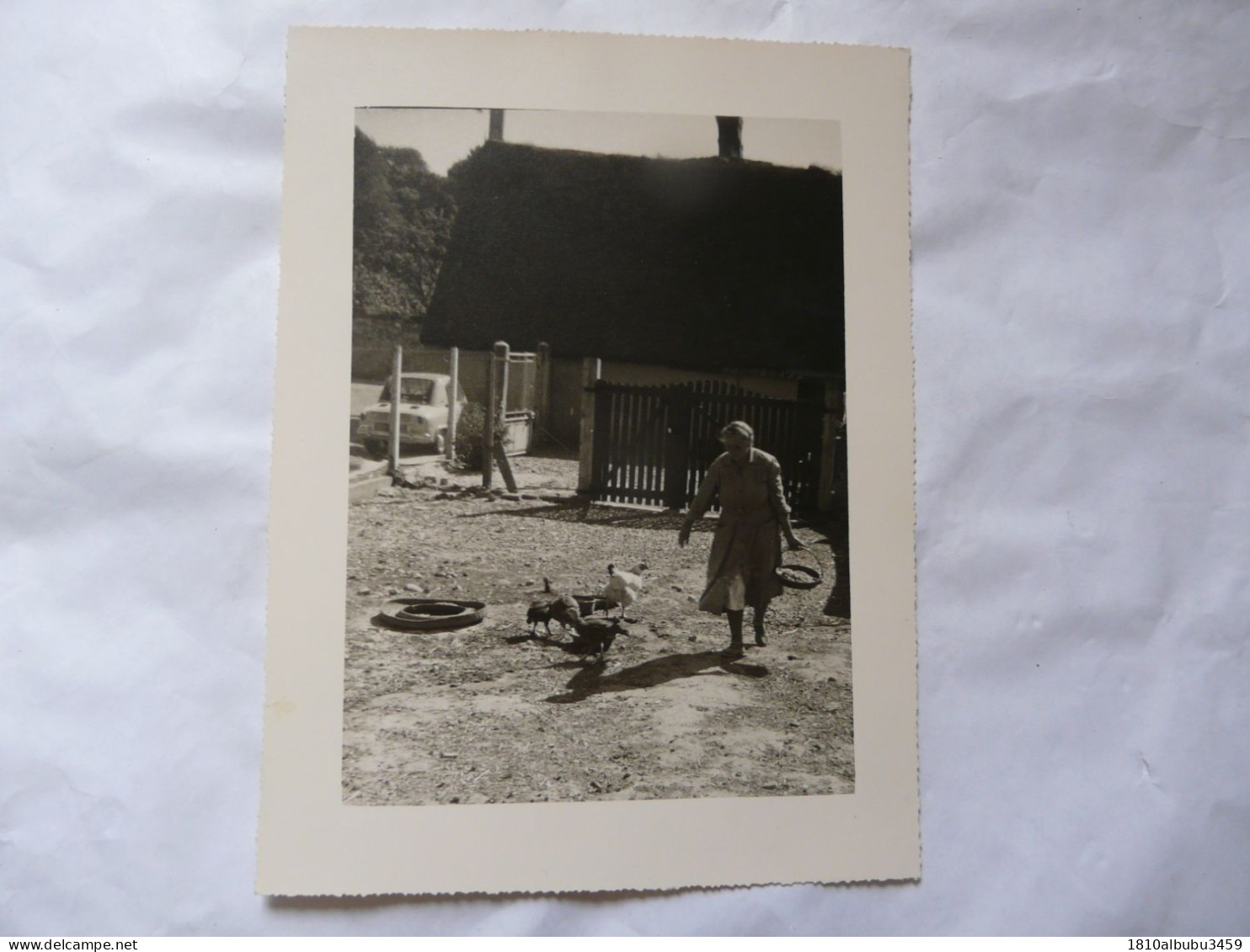 VERIGNY (Eure Et Loir) - SUPERBE PHOTO ANCIENNE (17 X 22,5 Cm) : Scène Animée - Pause Repas Pour Les Poules - Mestieri