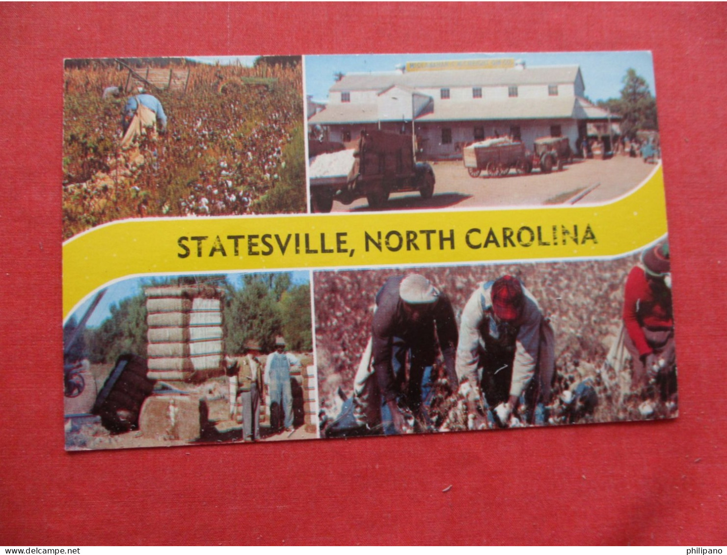 Black Americana Picking Cotton Statesville North Carolina     Ref 6413 - Black Americana