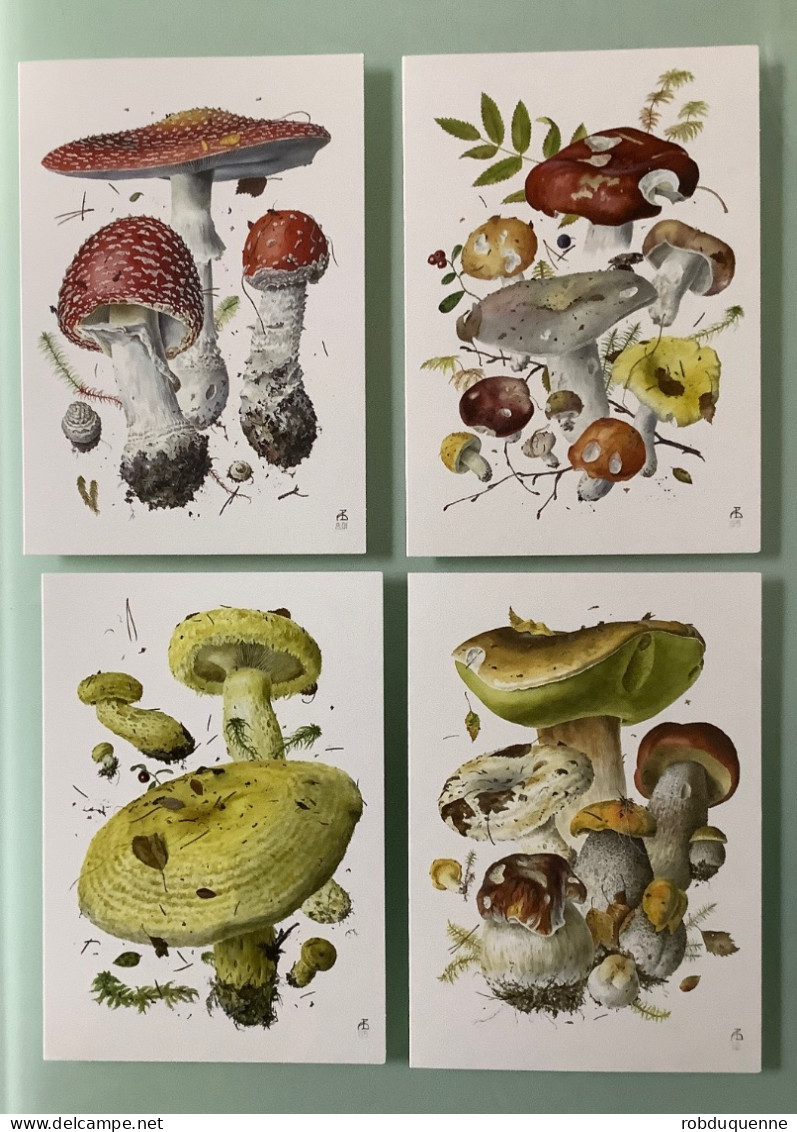 Champignons, Pilze, Funghi, 4 Superbes Cartes D’Alexander Viazmensky - Champignons