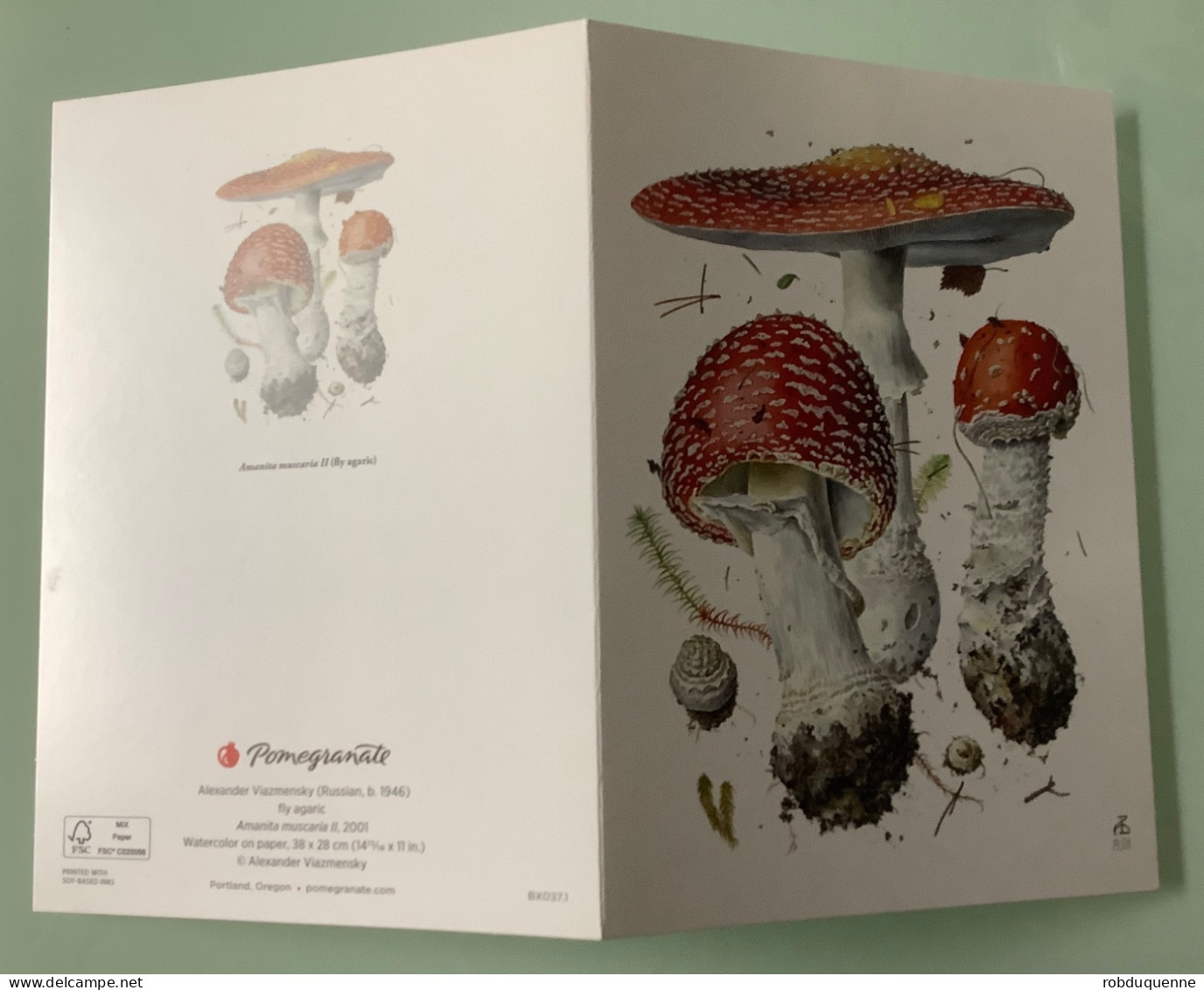 Champignons, Pilze, Funghi, 4 Superbes Cartes D’Alexander Viazmensky - Champignons